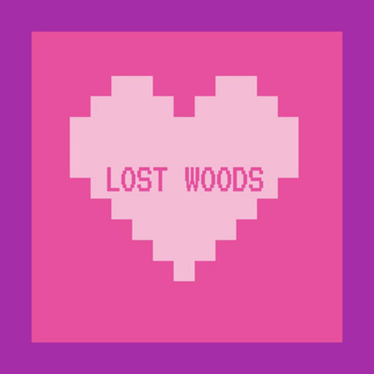 Lost Woods (Zelda Lofi)