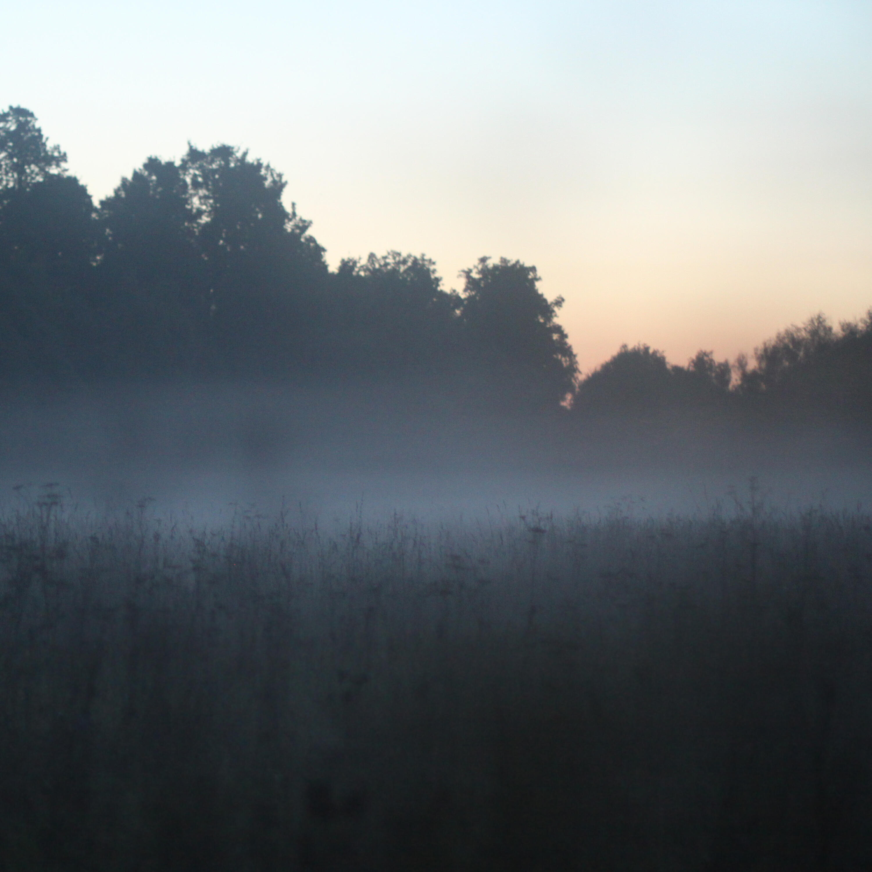 Постер альбома Split fog