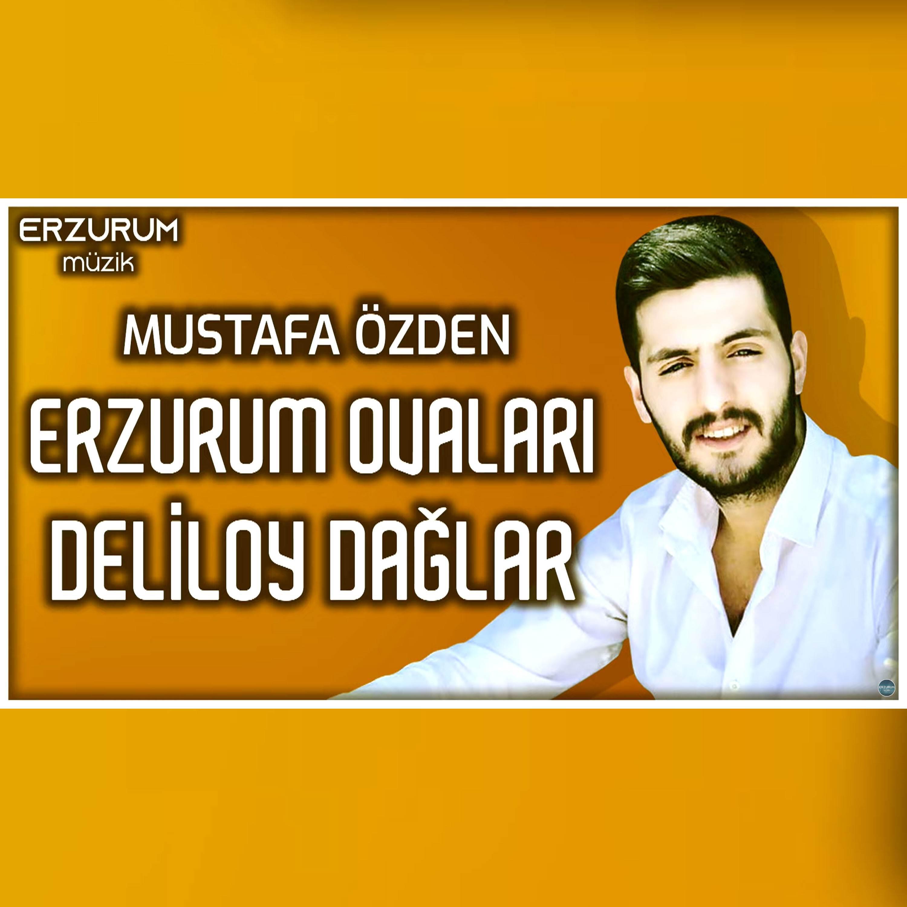 Релиз Erzurum Ovaları Deliloy Dağlar (Erzurum Halayları)