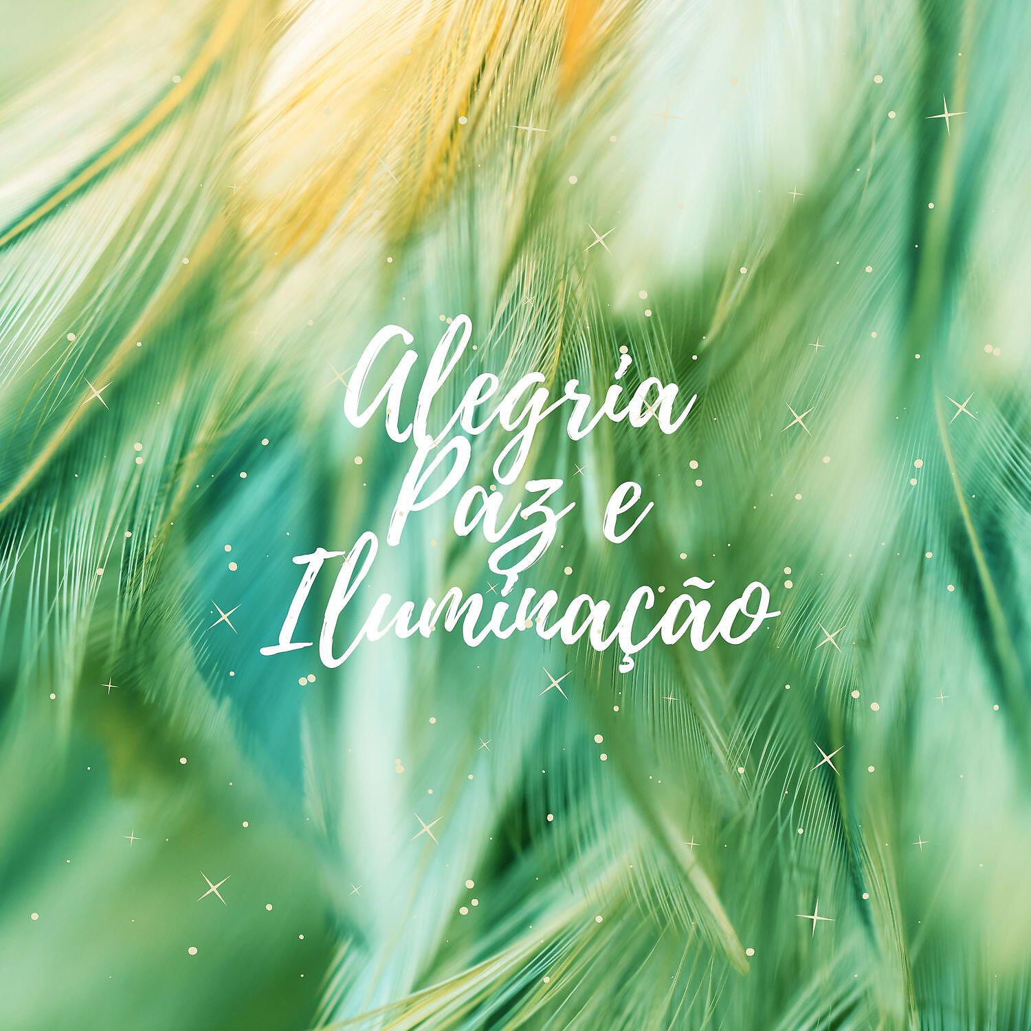 Релиз Alegria, Paz e Iluminação