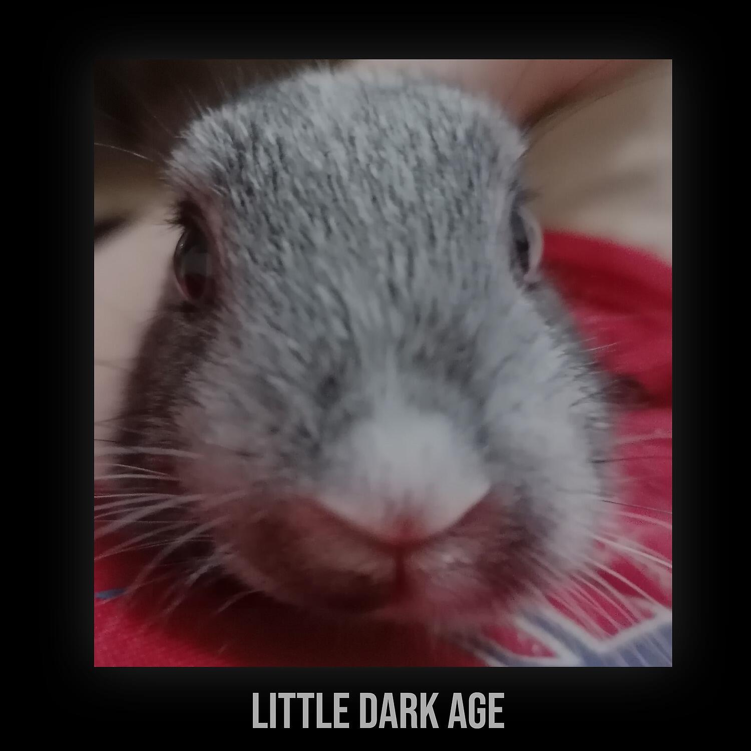 Релиз little dark age