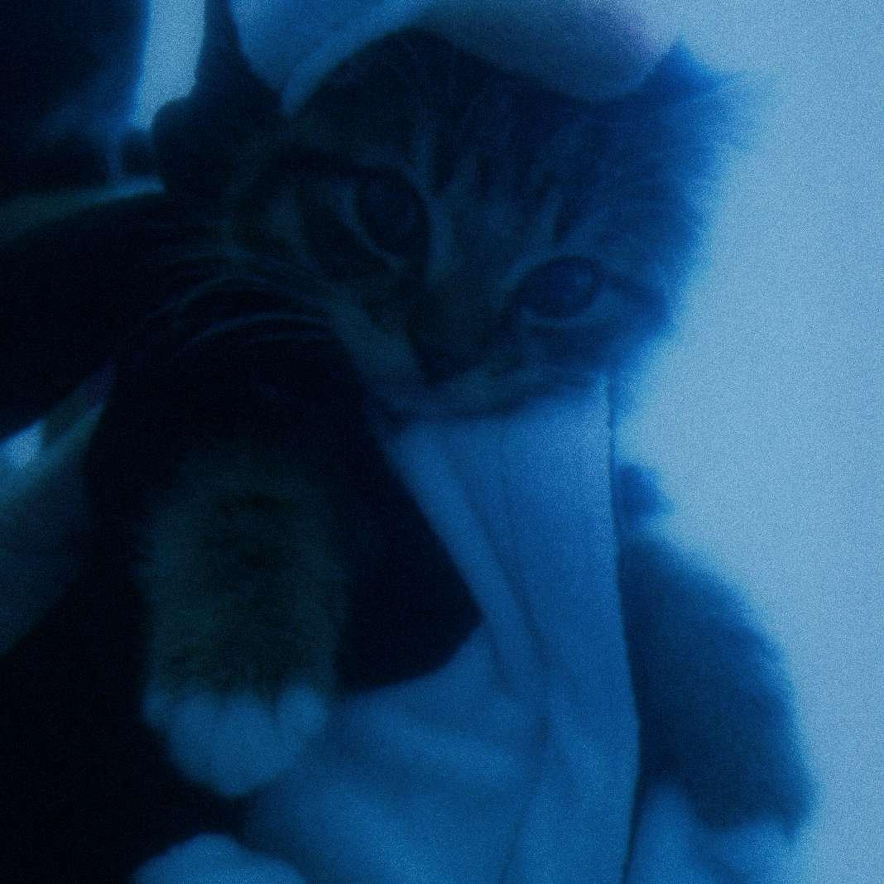 Релиз farewell