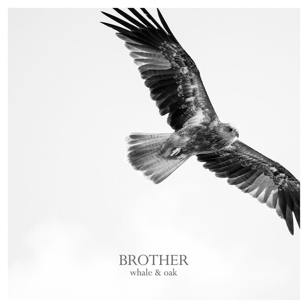 Постер альбома Brother