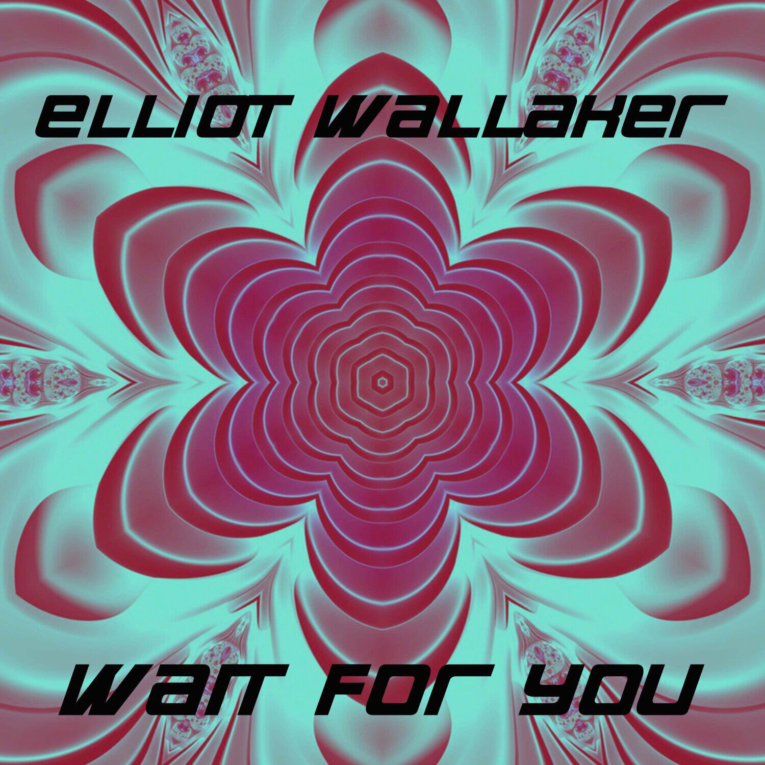 Elliot Wallaker