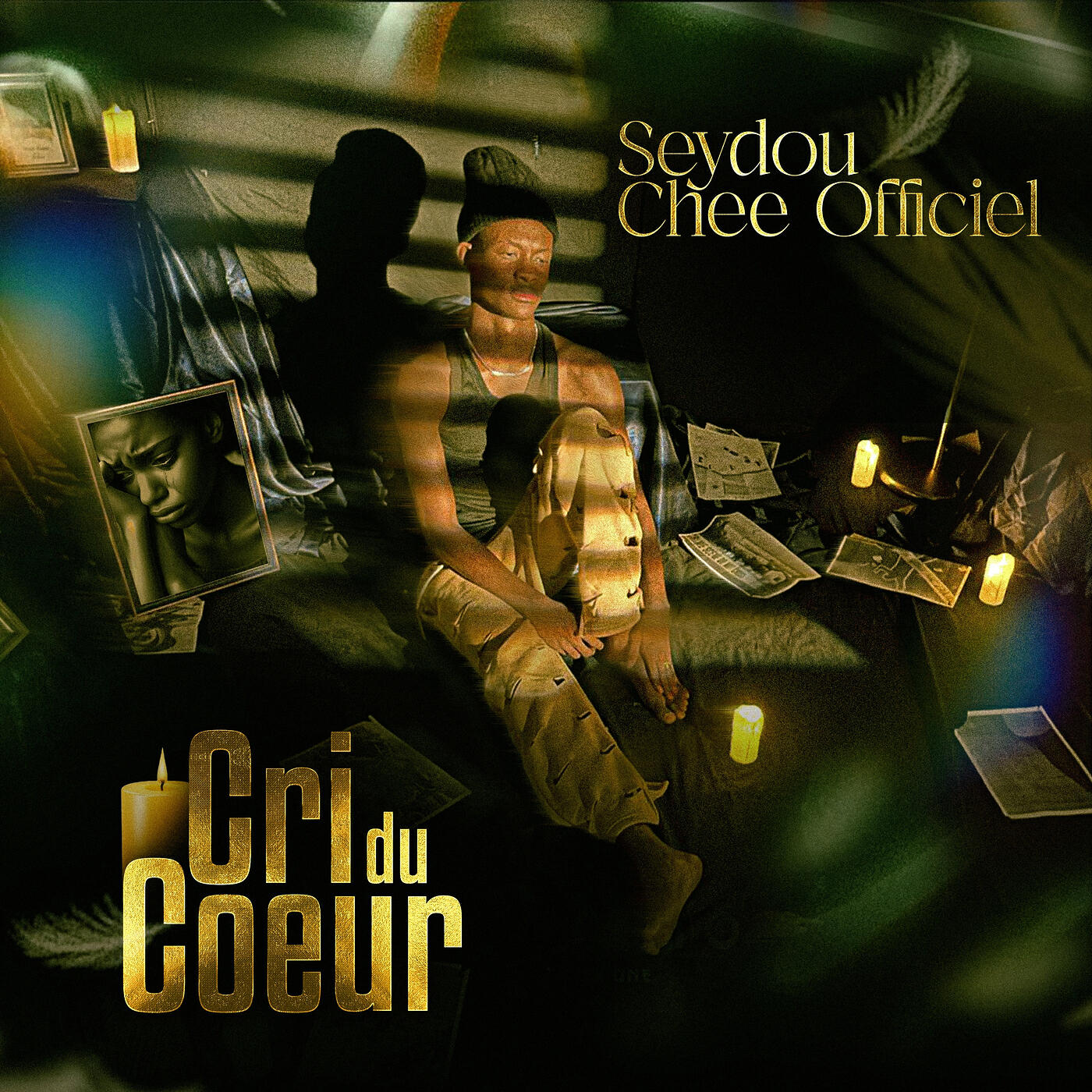 Релиз Cri du coeur