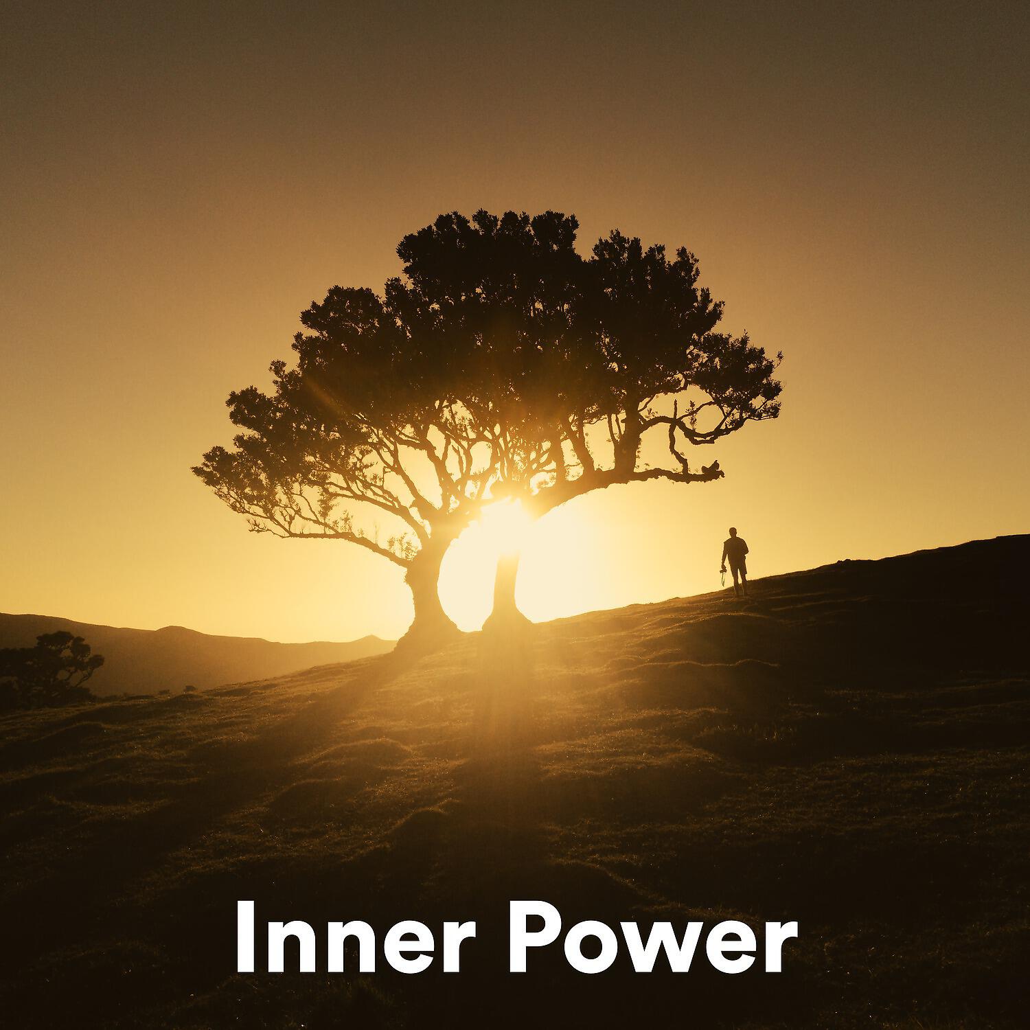 Постер альбома Inner Power