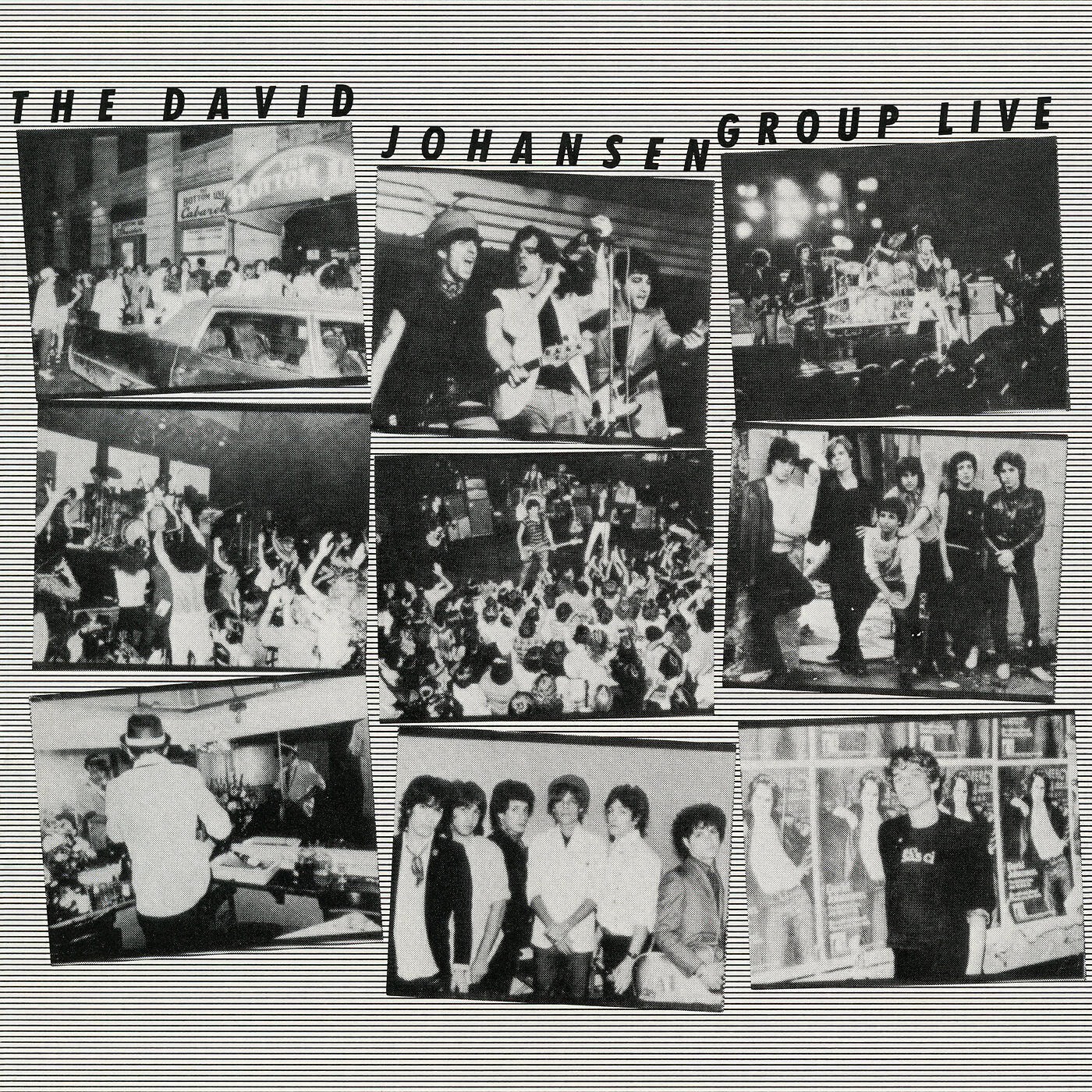 The David Johansen Group