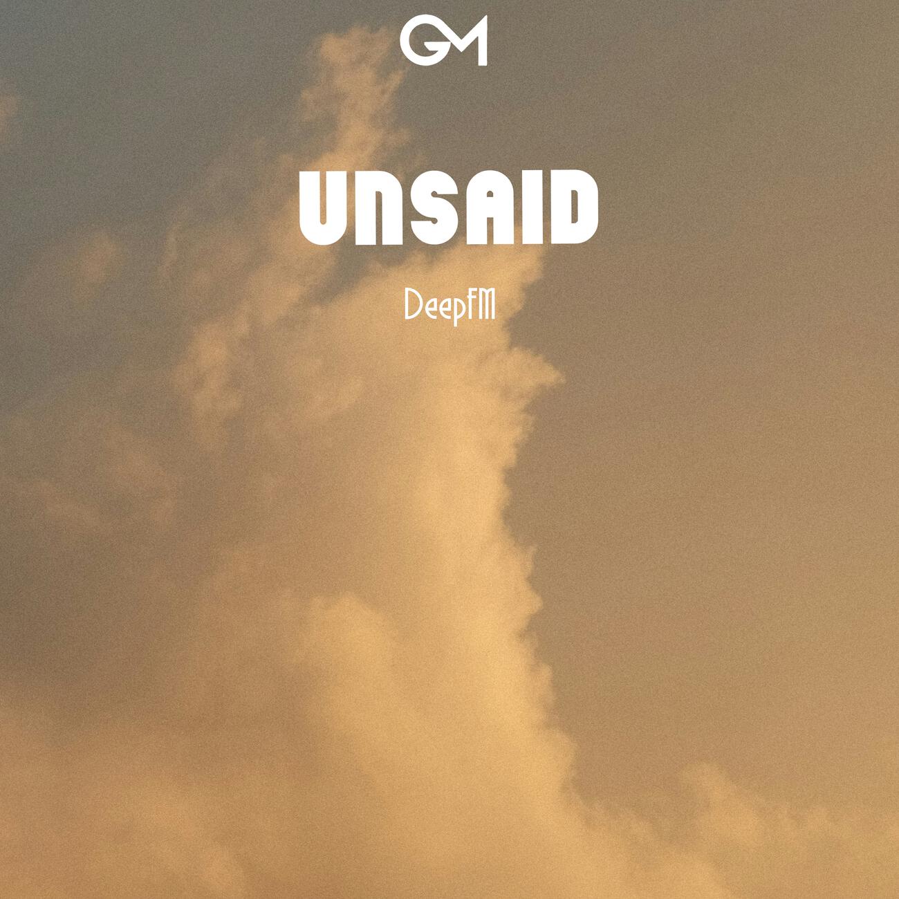 Постер альбома Unsaid