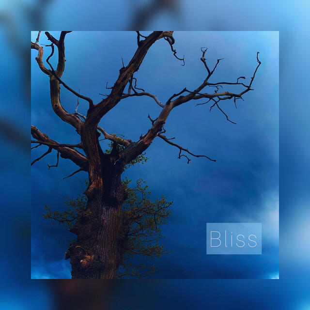Релиз Bliss