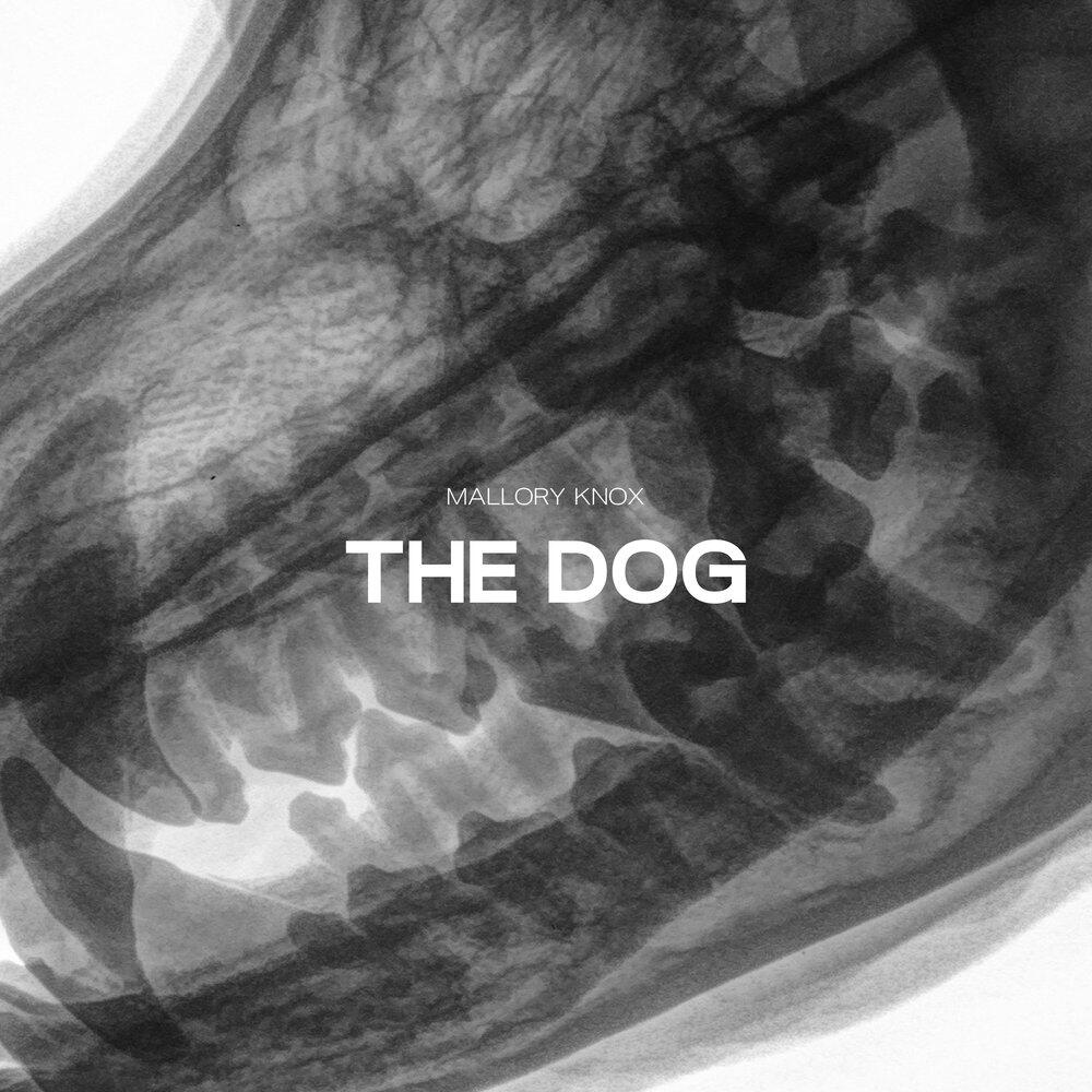 Релиз The Dog