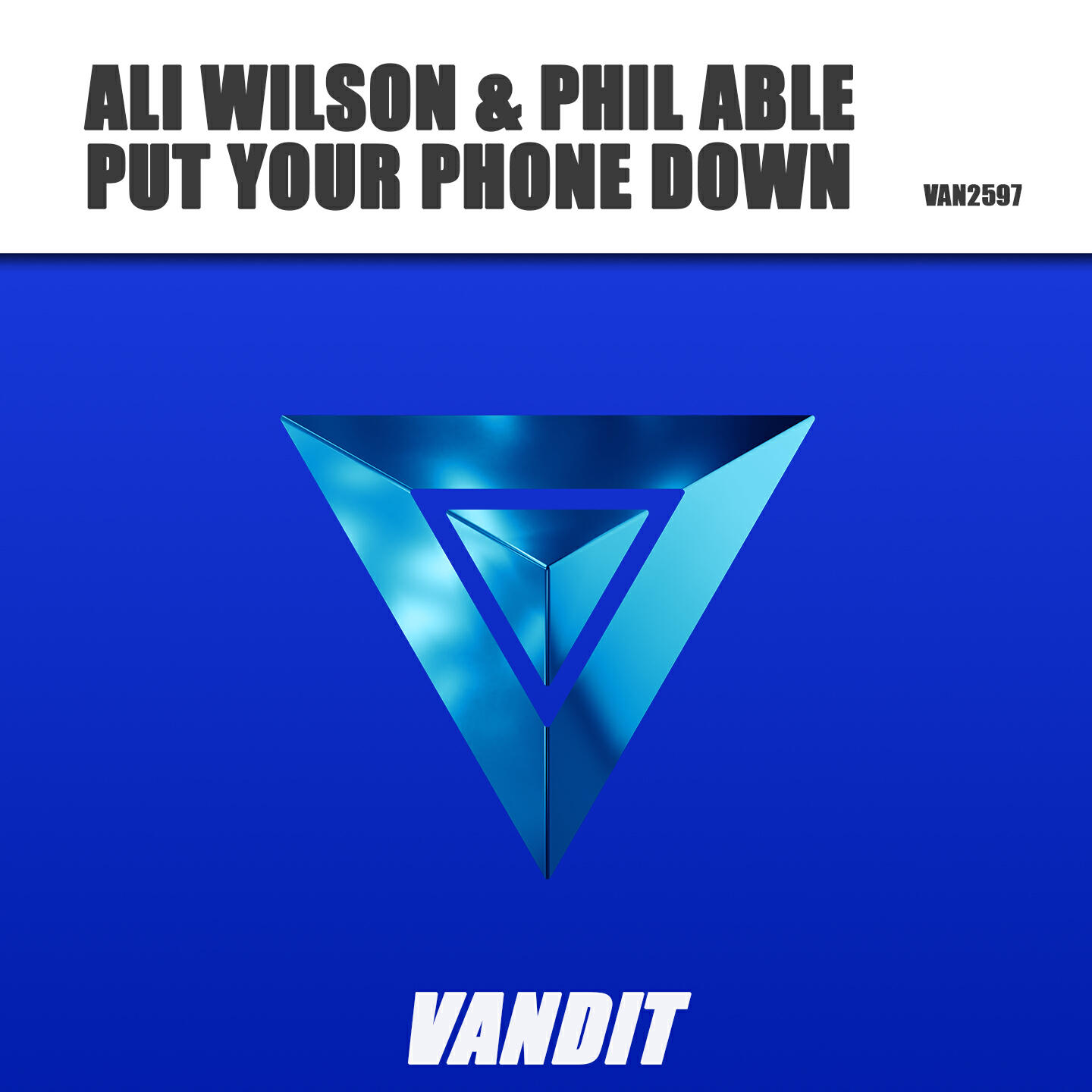Релиз Put Your Phone Down