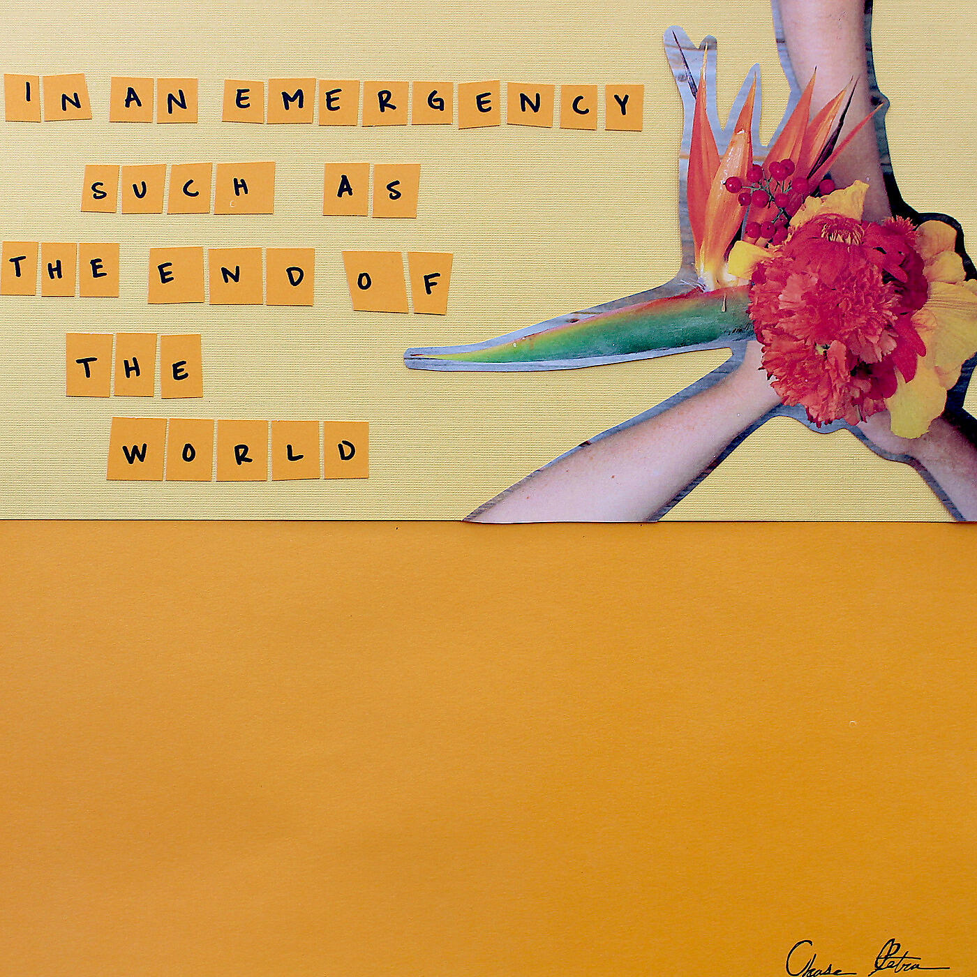 Релиз In an Emergency Such as the End of the World