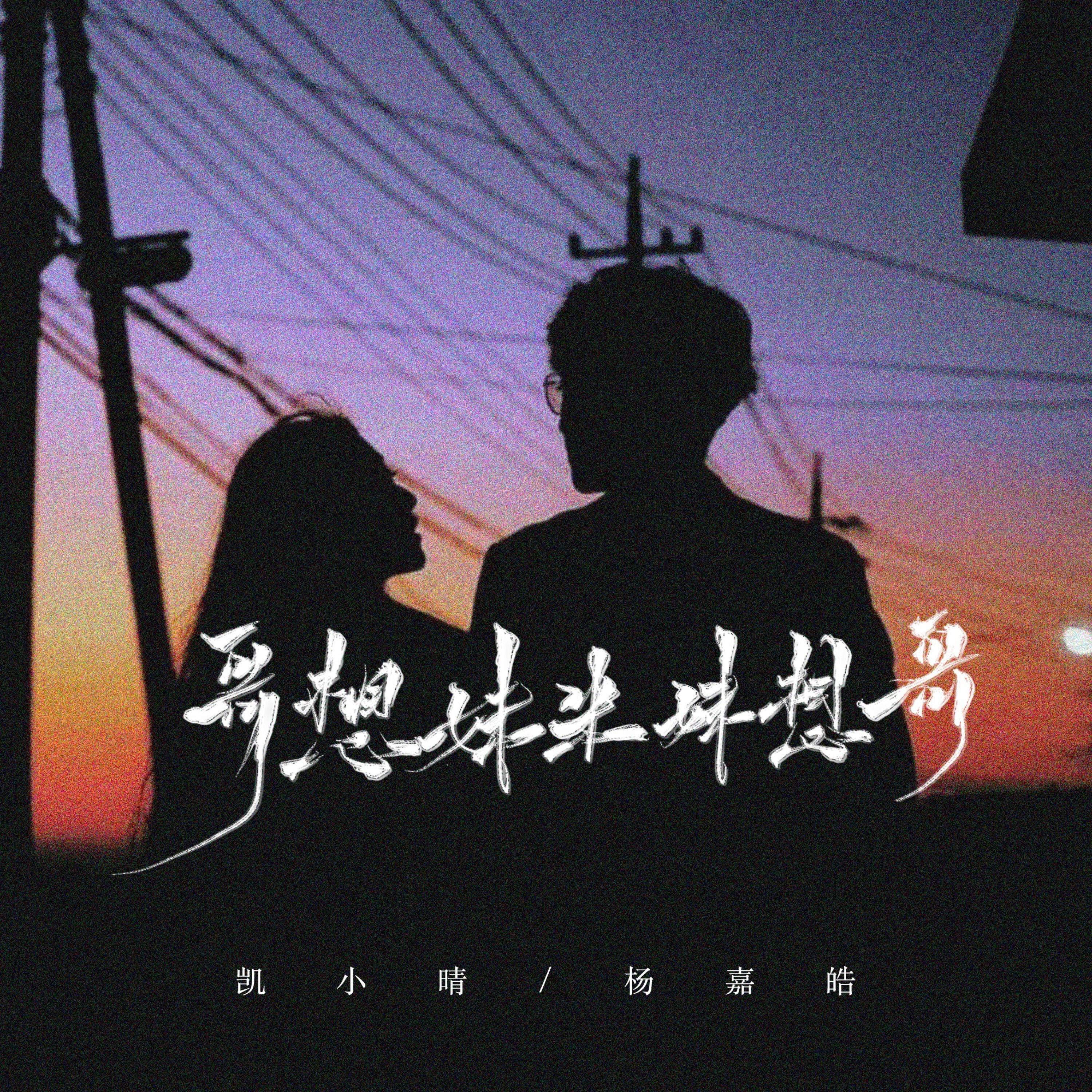 Релиз 哥想妹来妹想哥