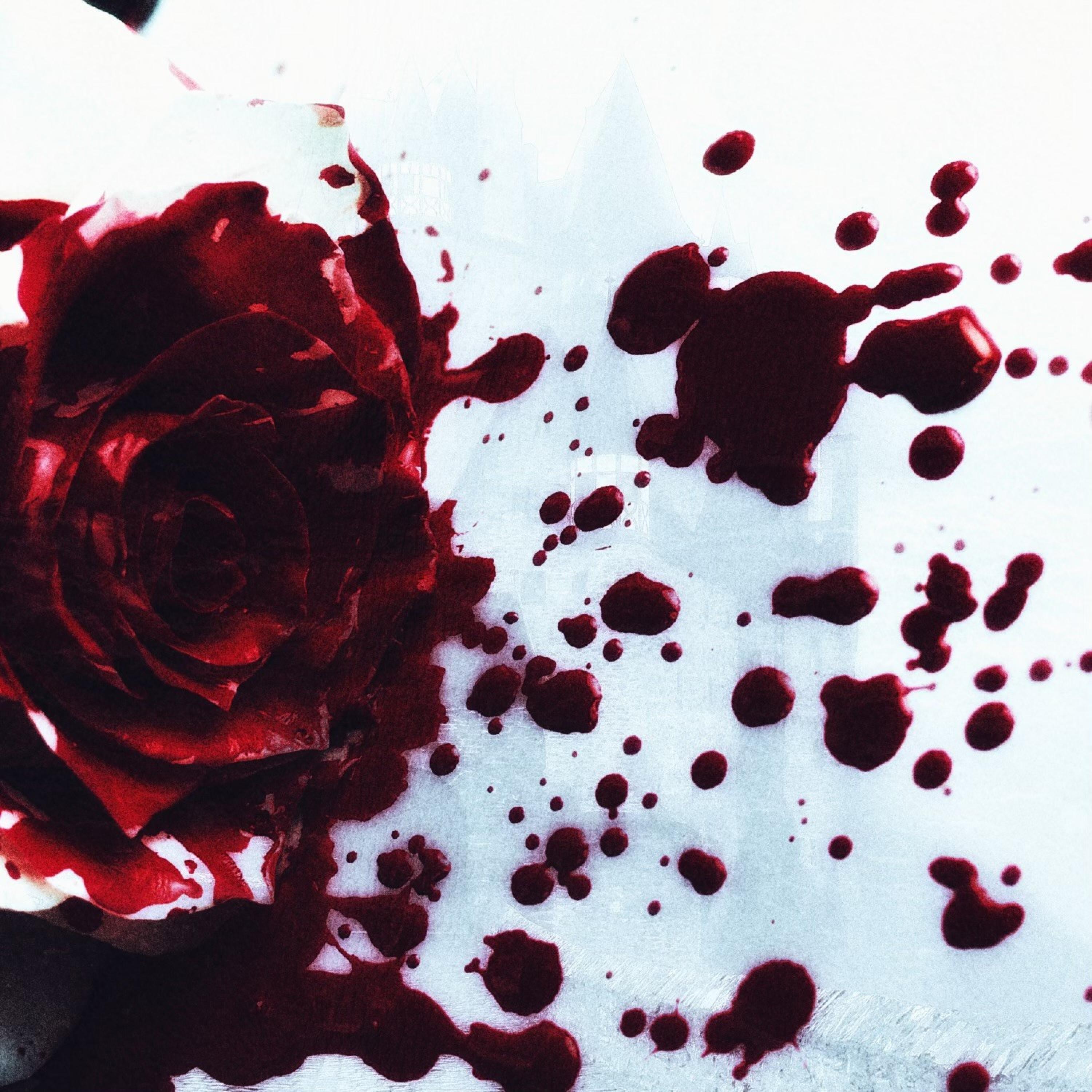 Релиз slay the princess