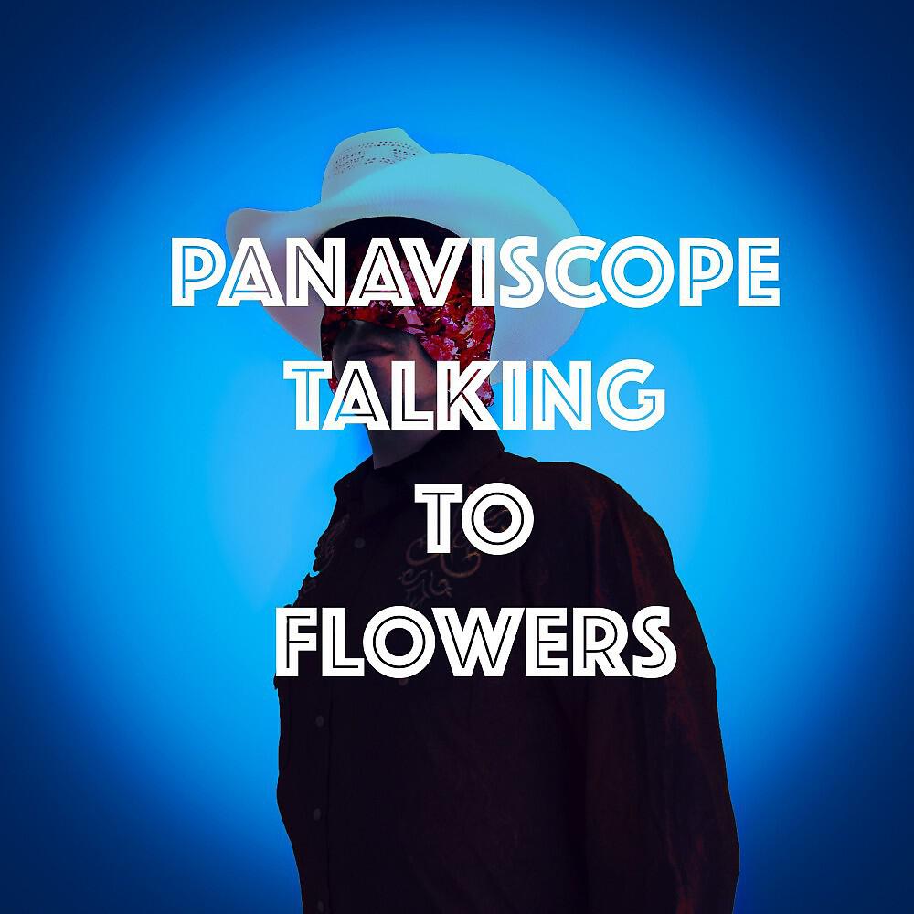 Panaviscope