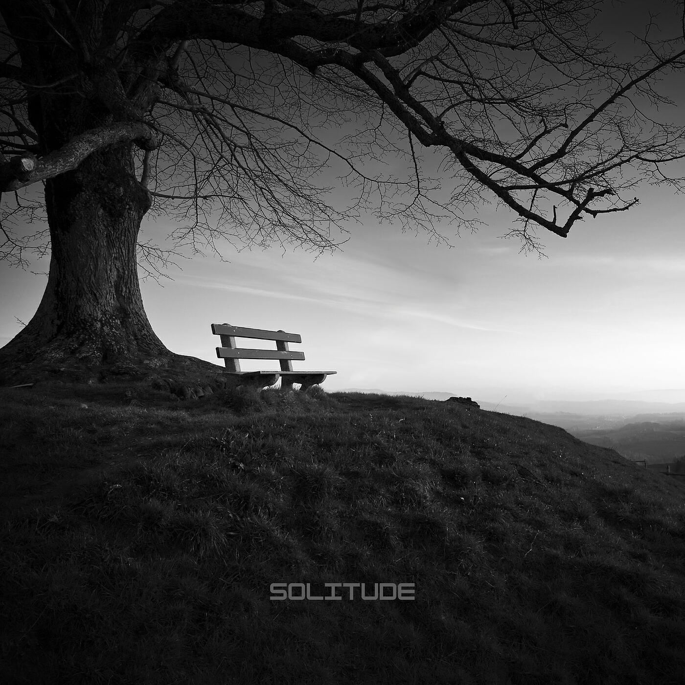 Релиз Solitude