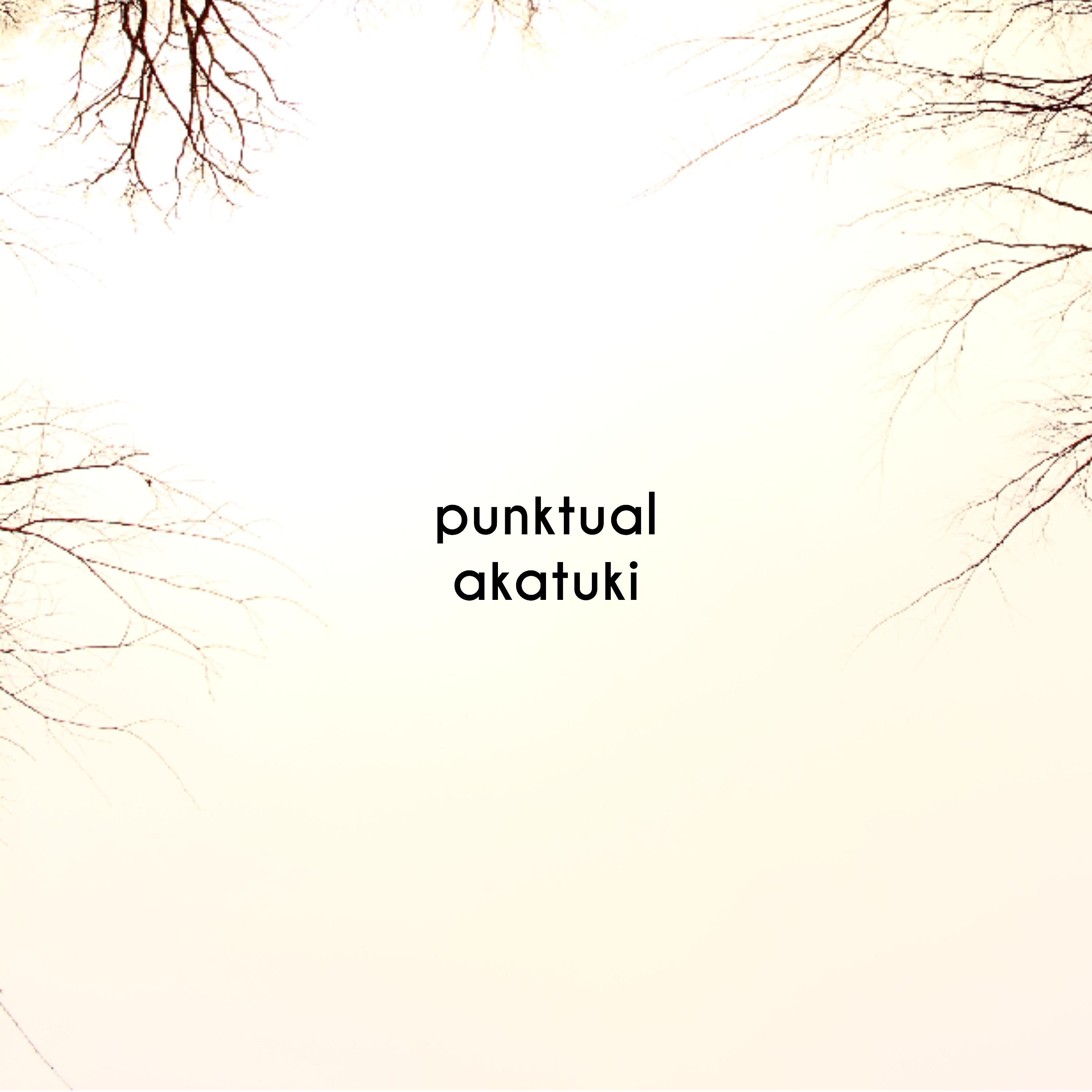 Релиз Punktual