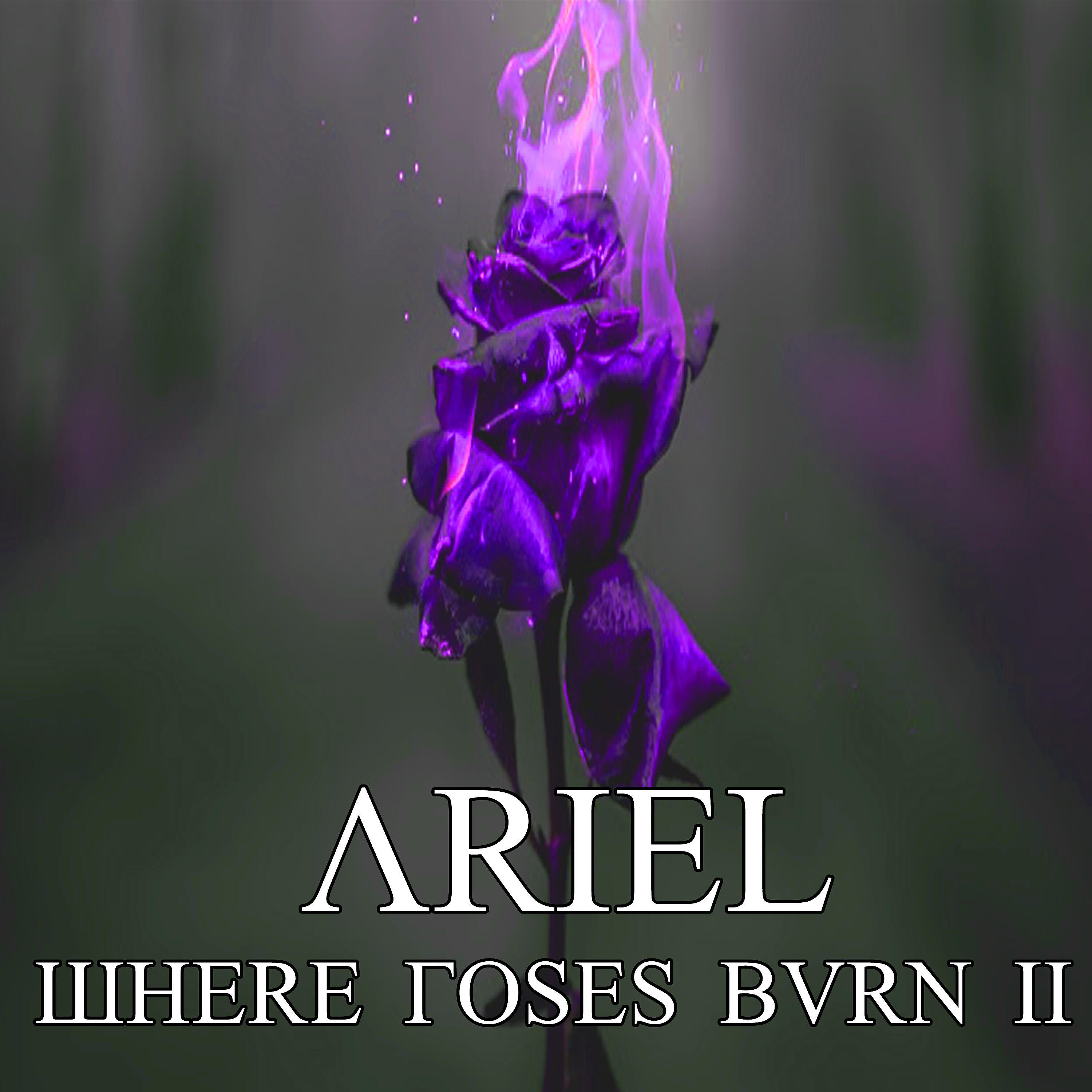 Релиз Where the Roses Burn II