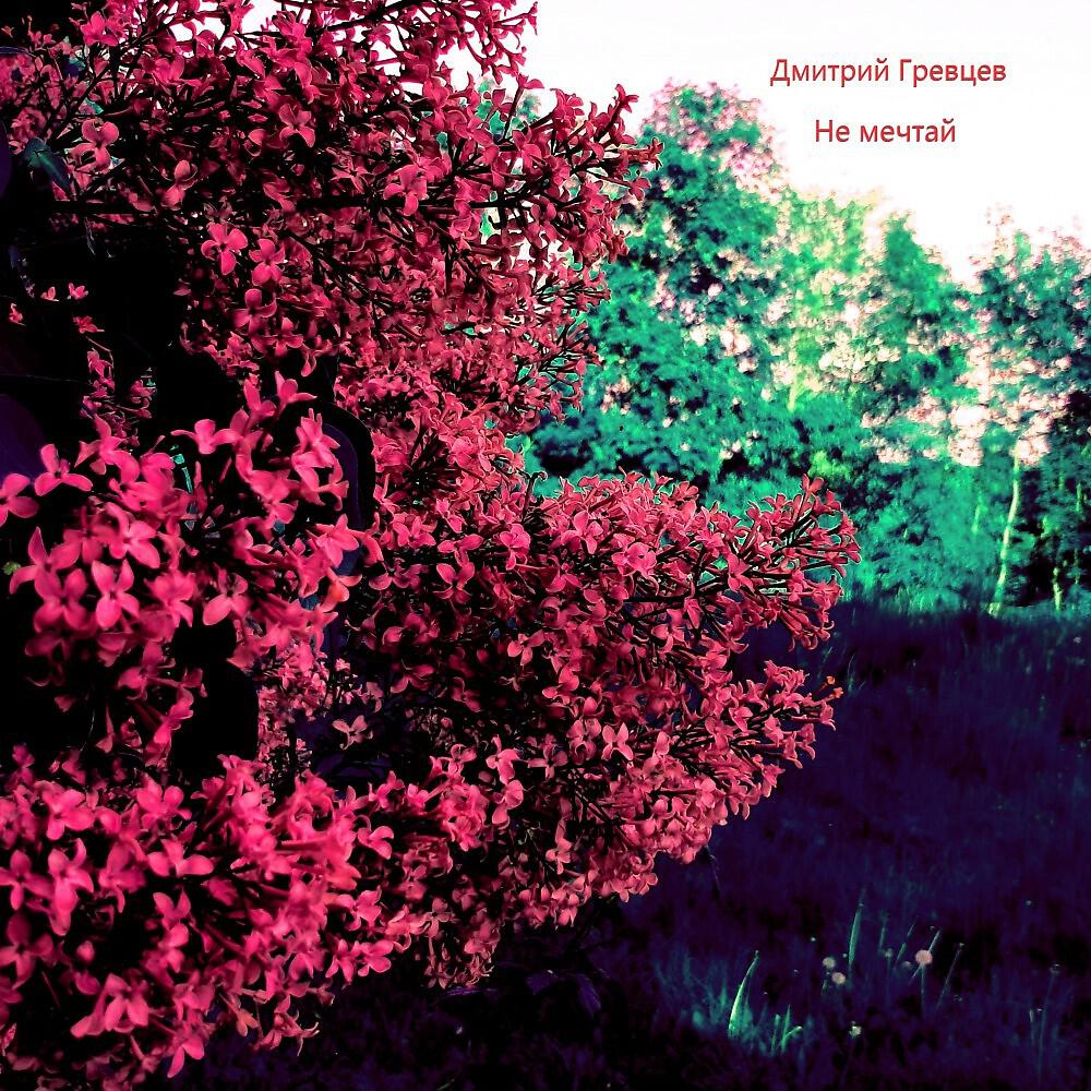Релиз Не мечтай