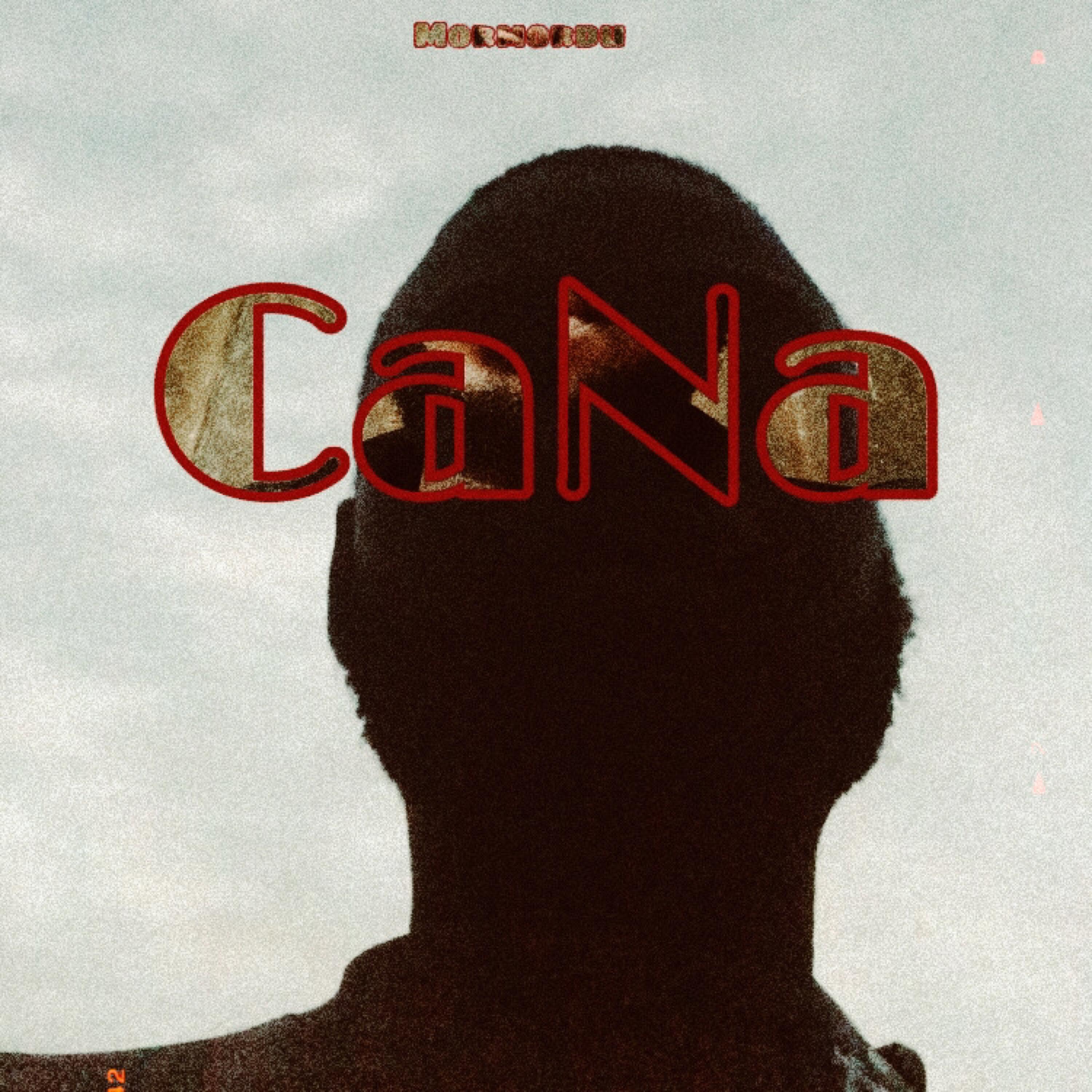 Релиз Cana