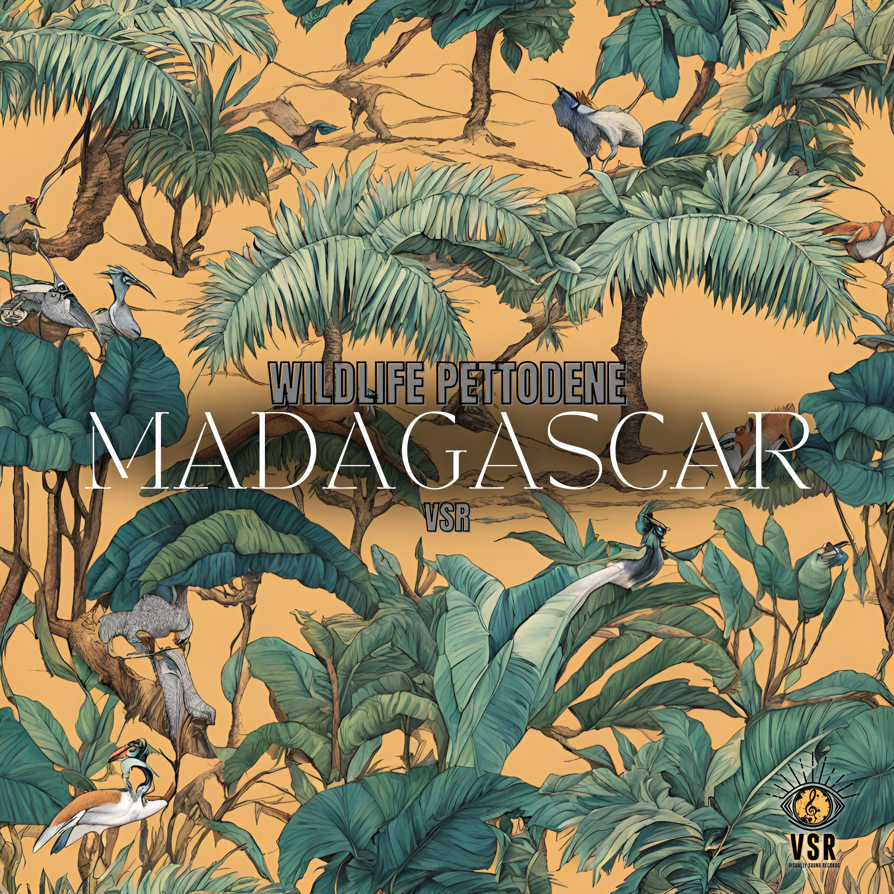 Релиз Madagascar