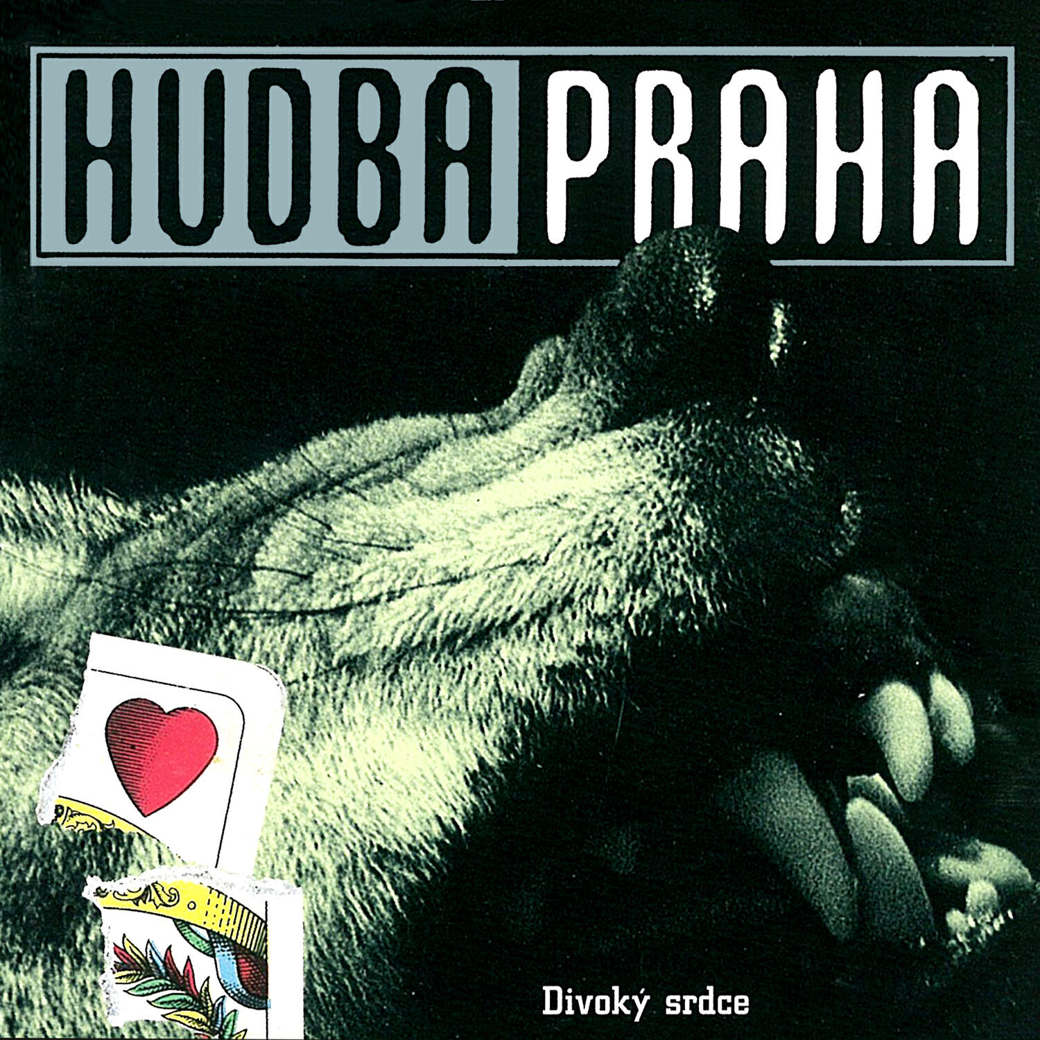 Релиз Divoký srdce