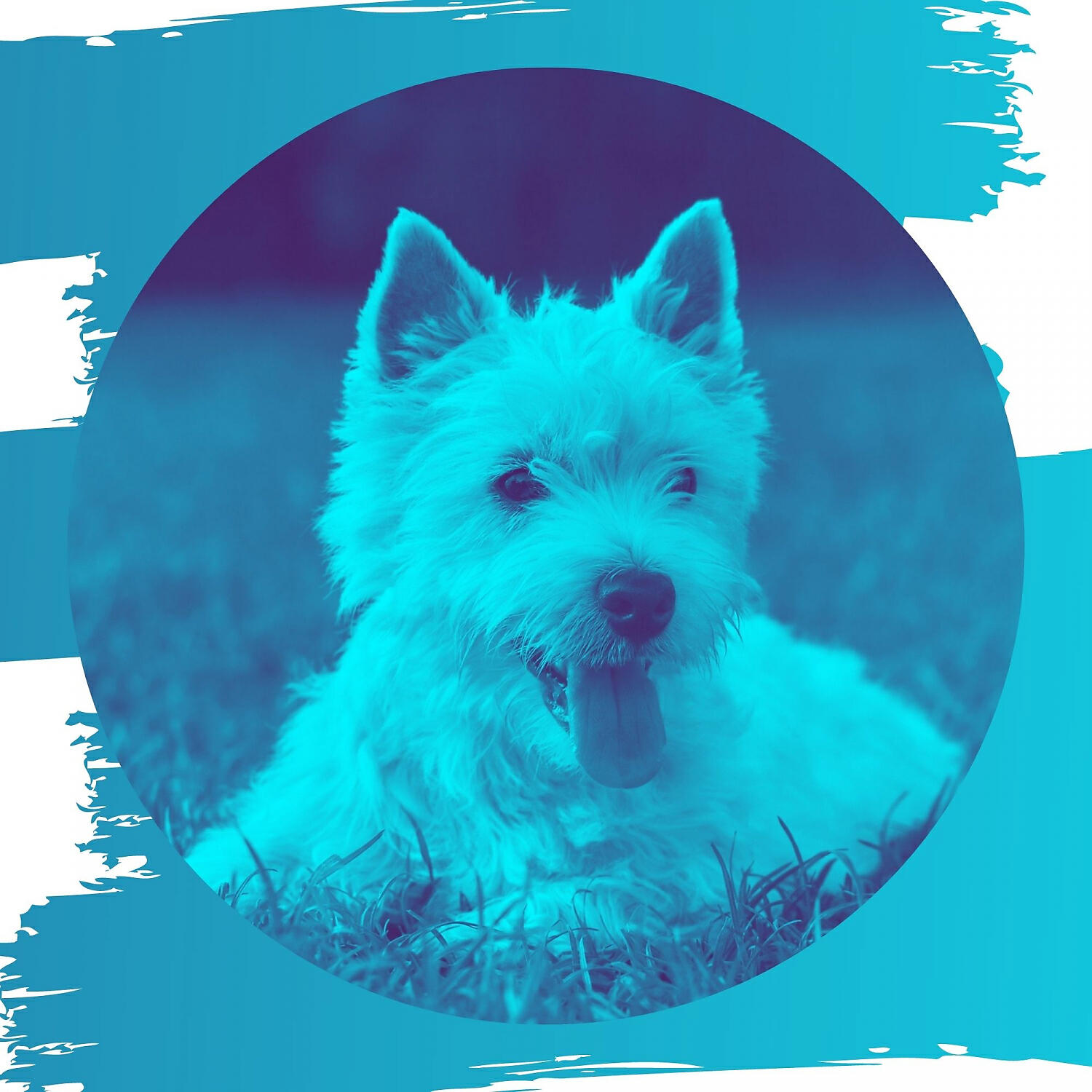 Релиз Background Music for Doggy Naptime