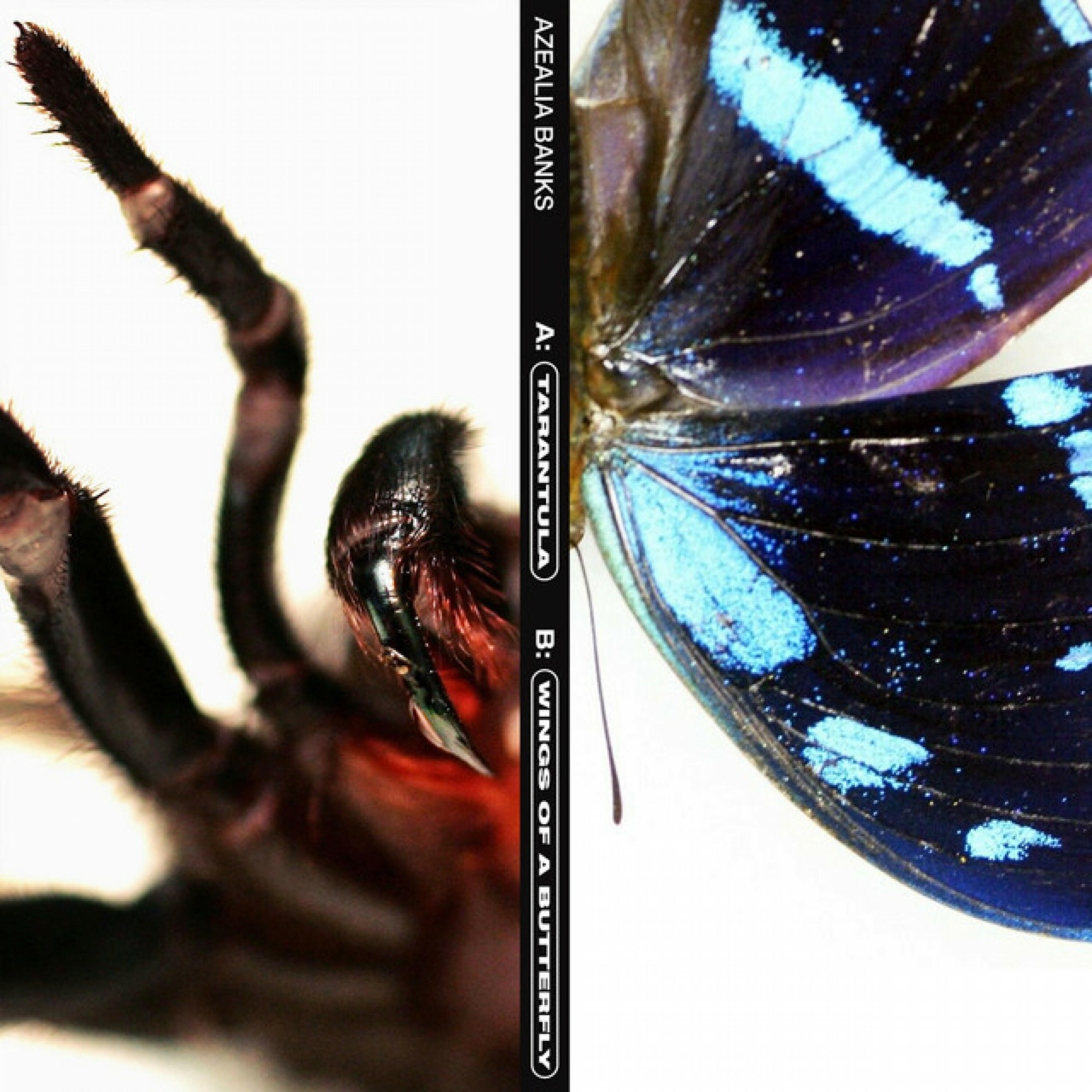 Релиз Tarantula