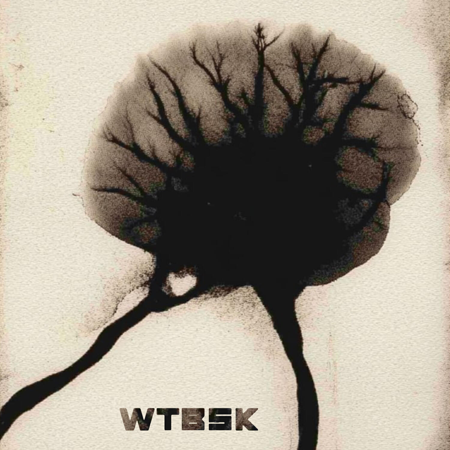 Wtbsk