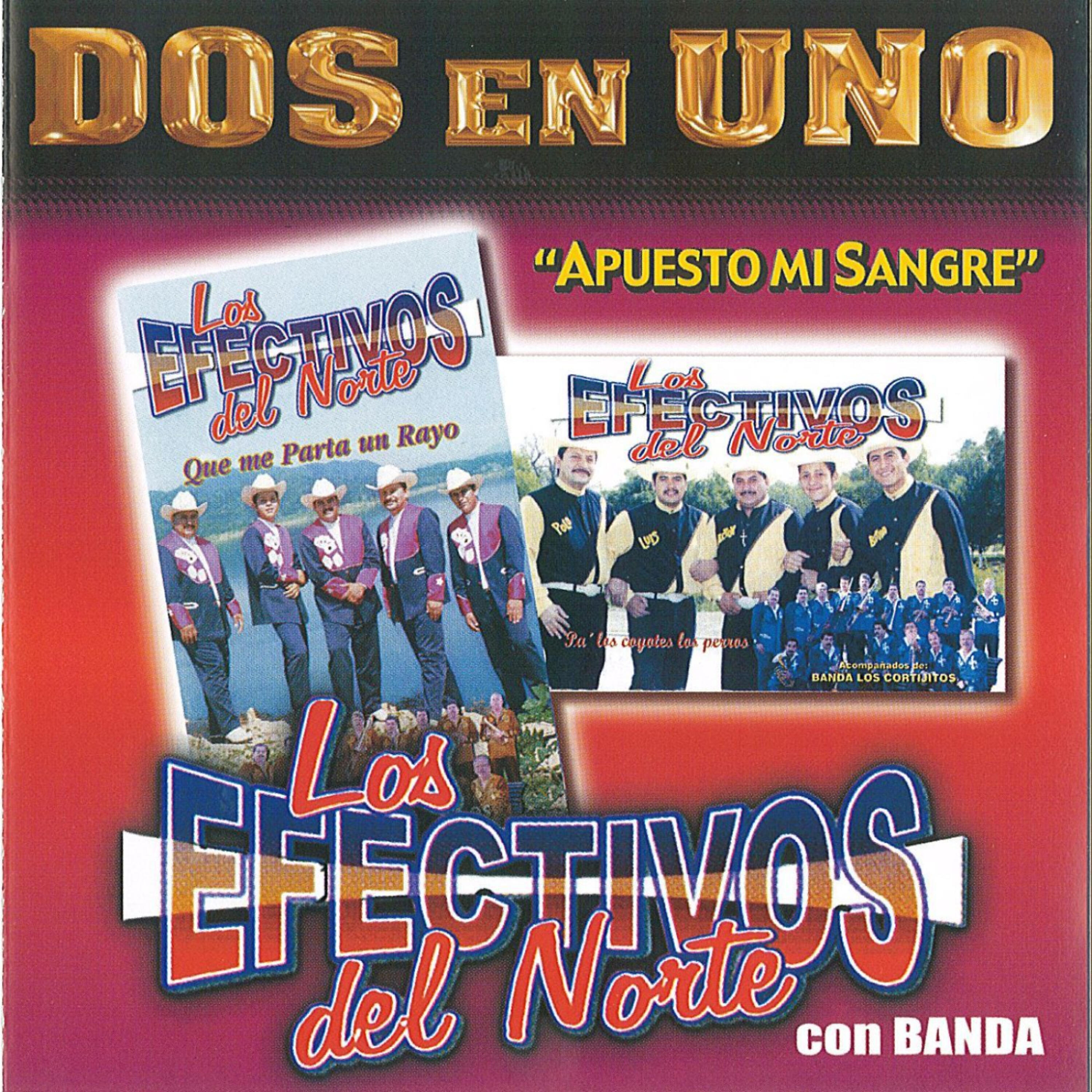 Los Efectivos del Norte