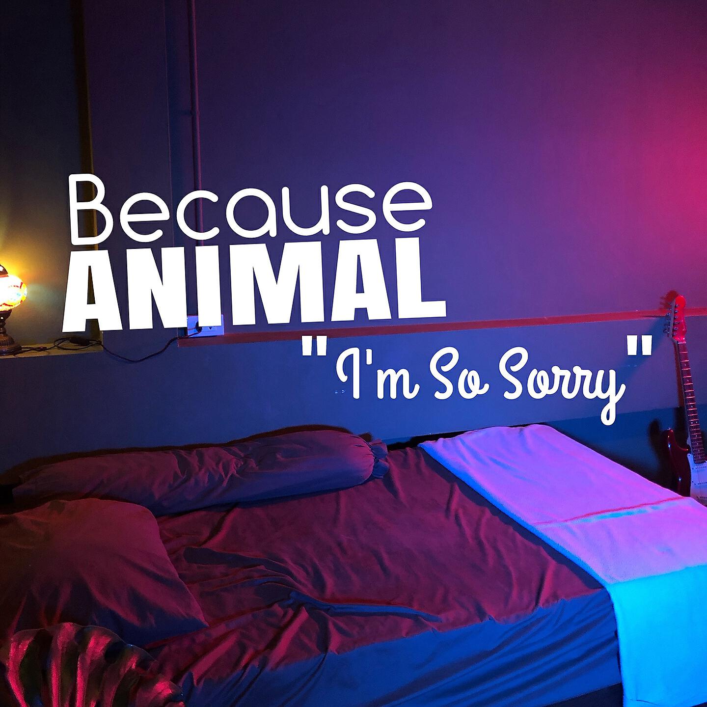 Релиз I'm so sorry