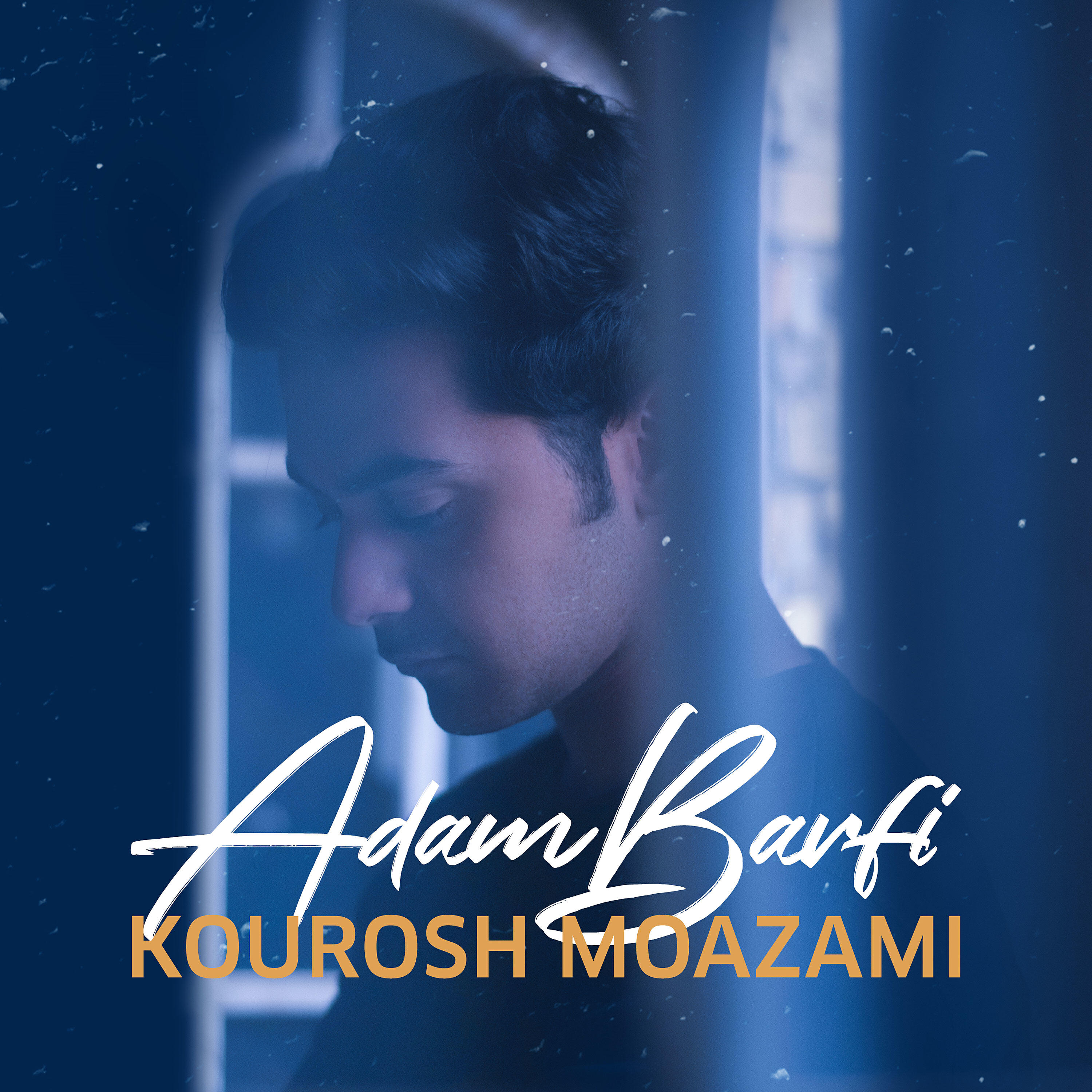Релиз Adam Barfi