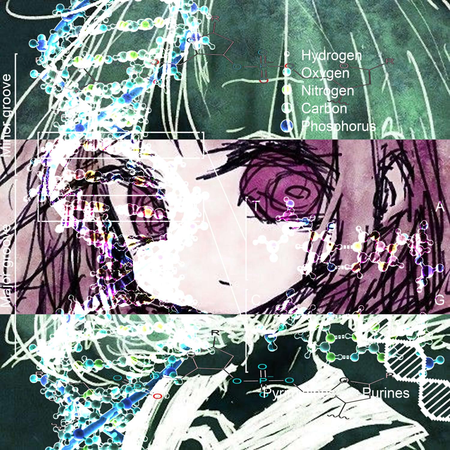 Релиз shikuensu