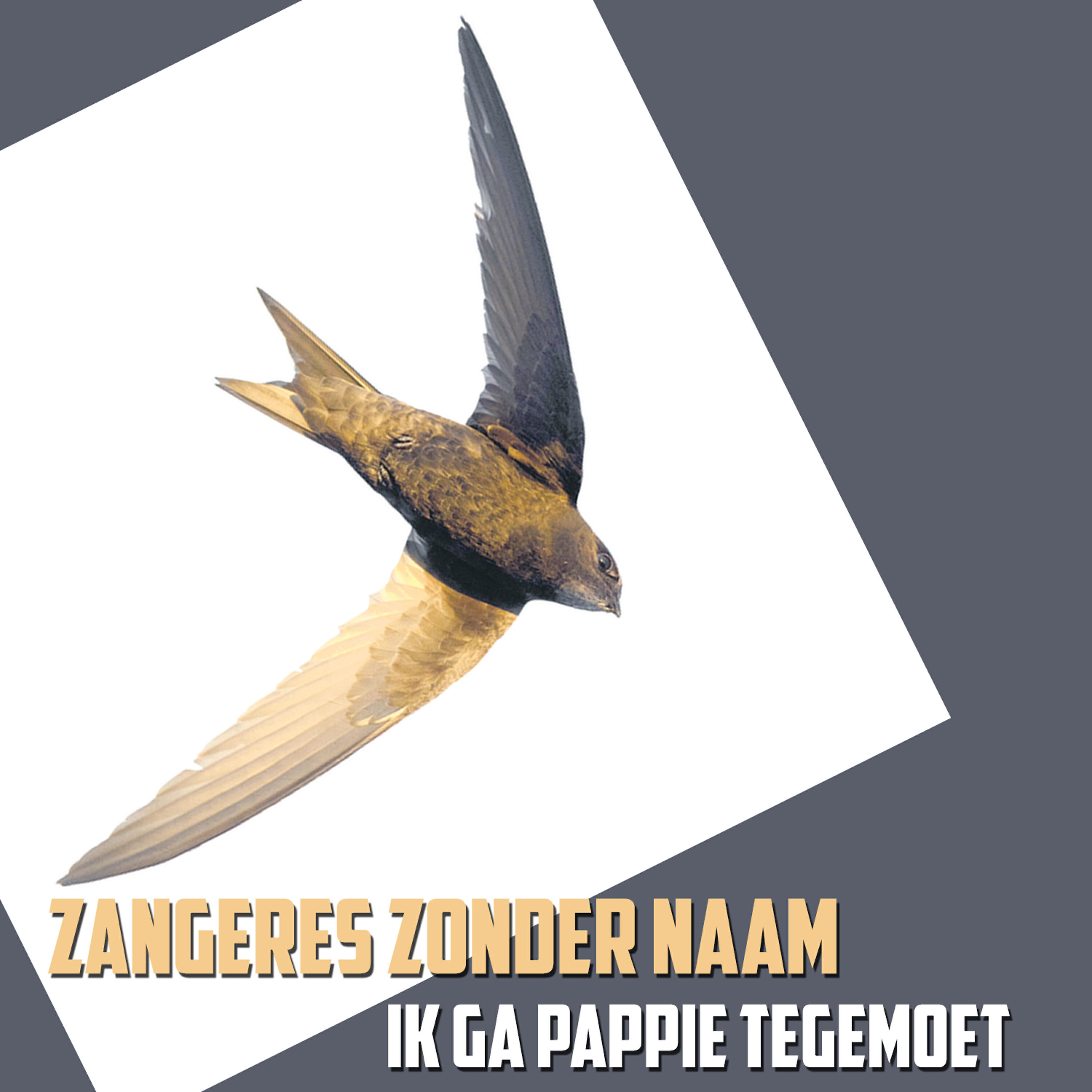 Релиз Ik Ga Pappie Tegemoet