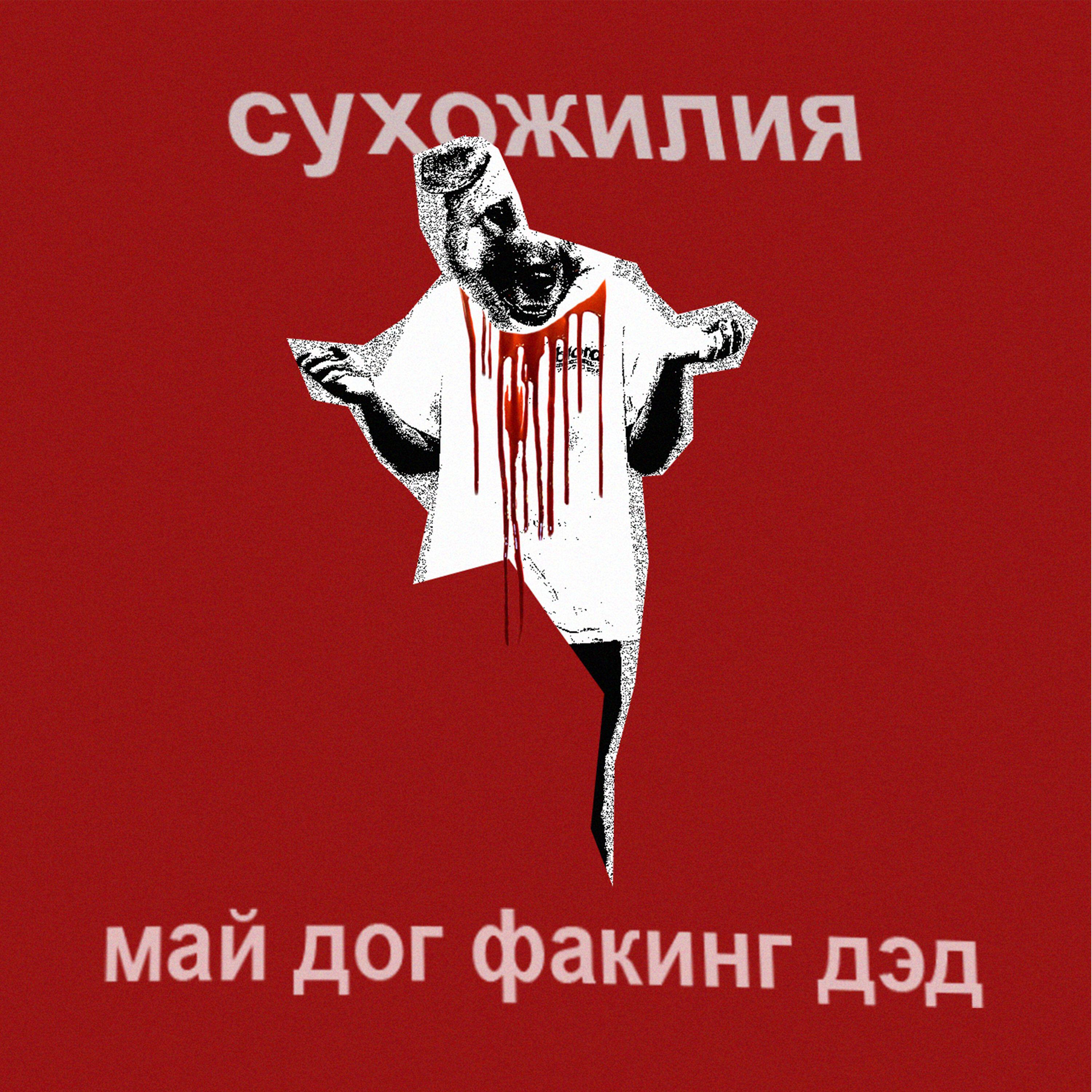 Релиз май дог факинг дэд