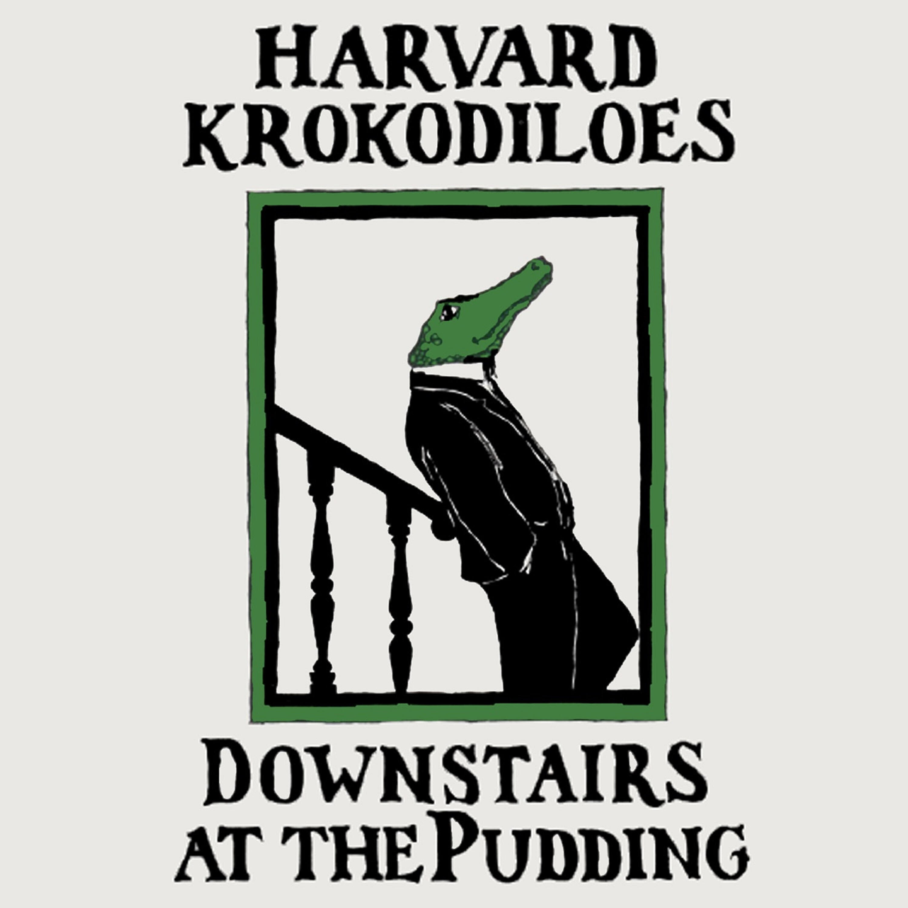 Релиз Downstairs at the Pudding