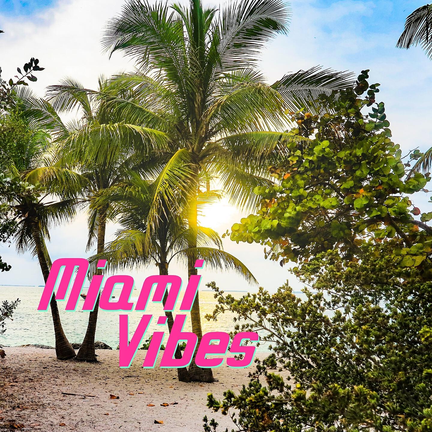 Релиз Miami vibes