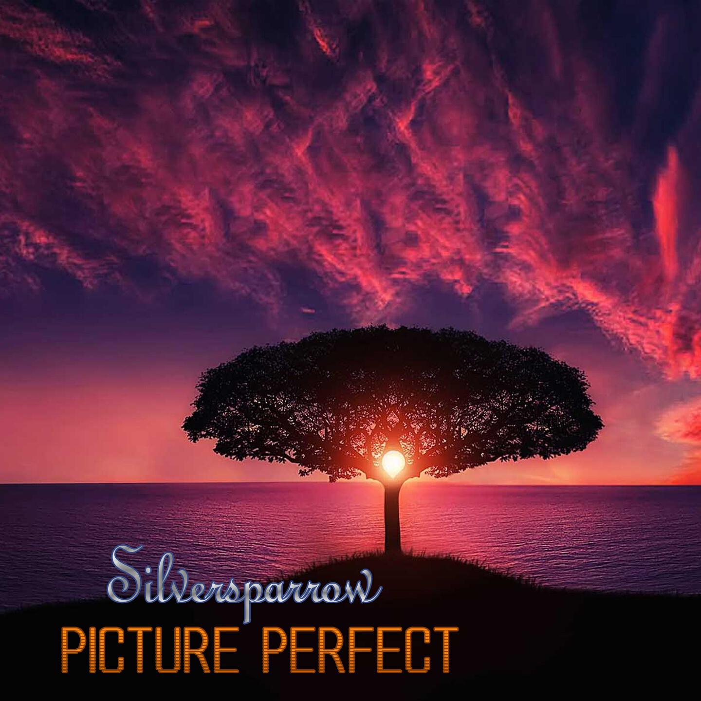 Релиз Picture Perfect