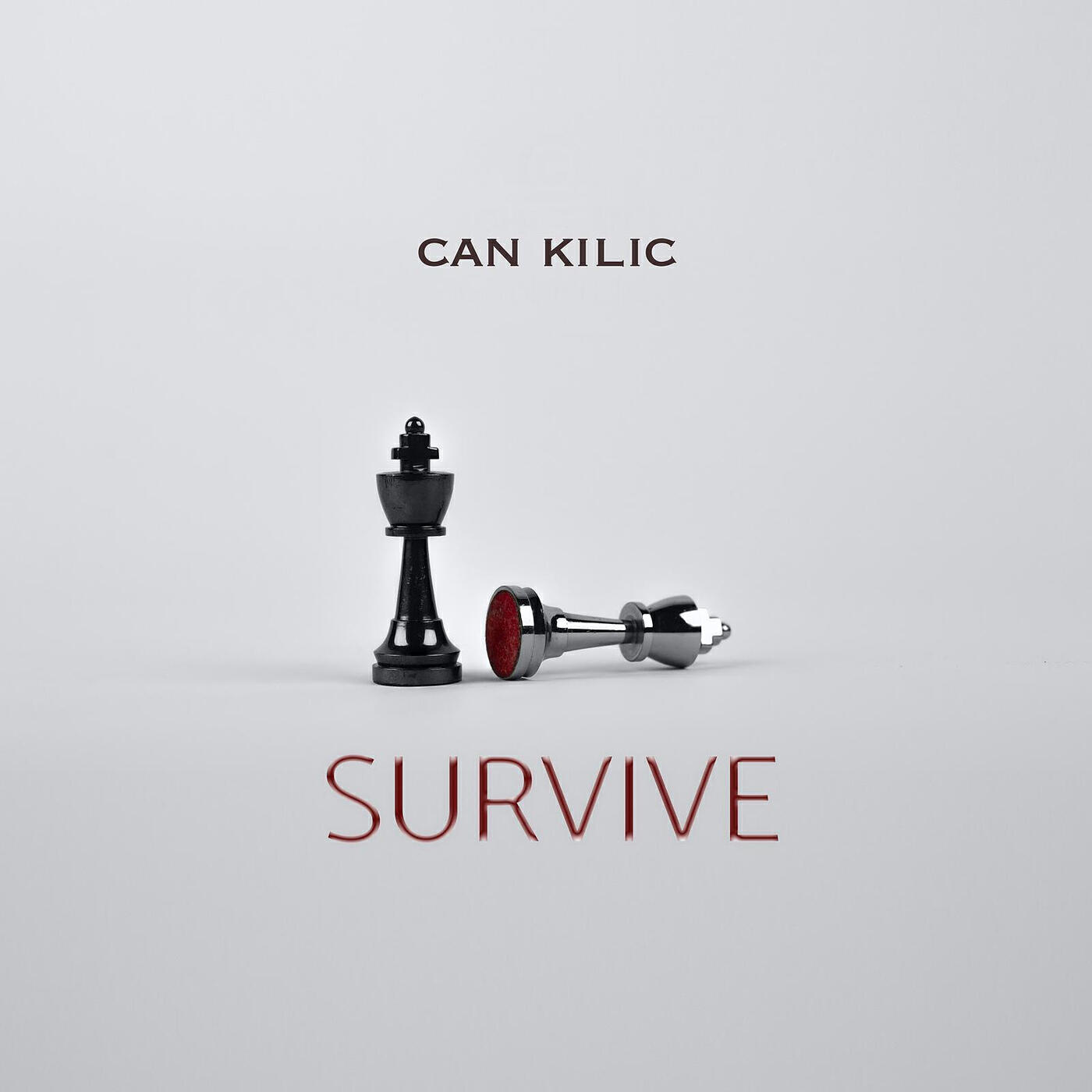 Релиз Survive
