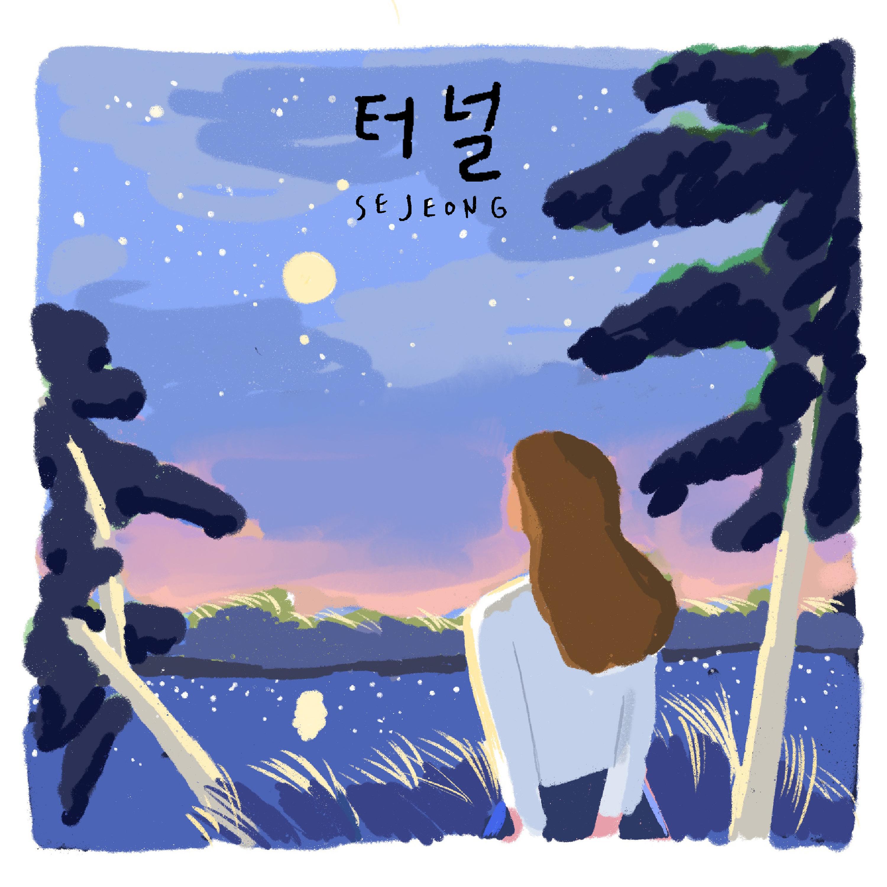 Релиз Dingo X SEJEONG