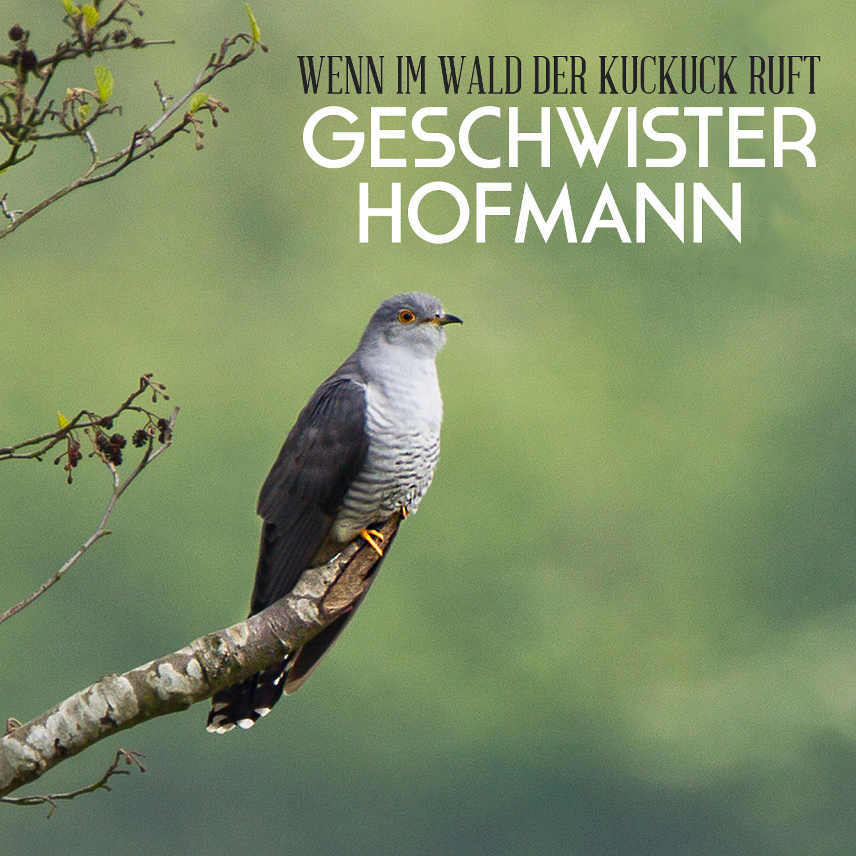 Релиз Wenn im Wald der Kuckuck ruft