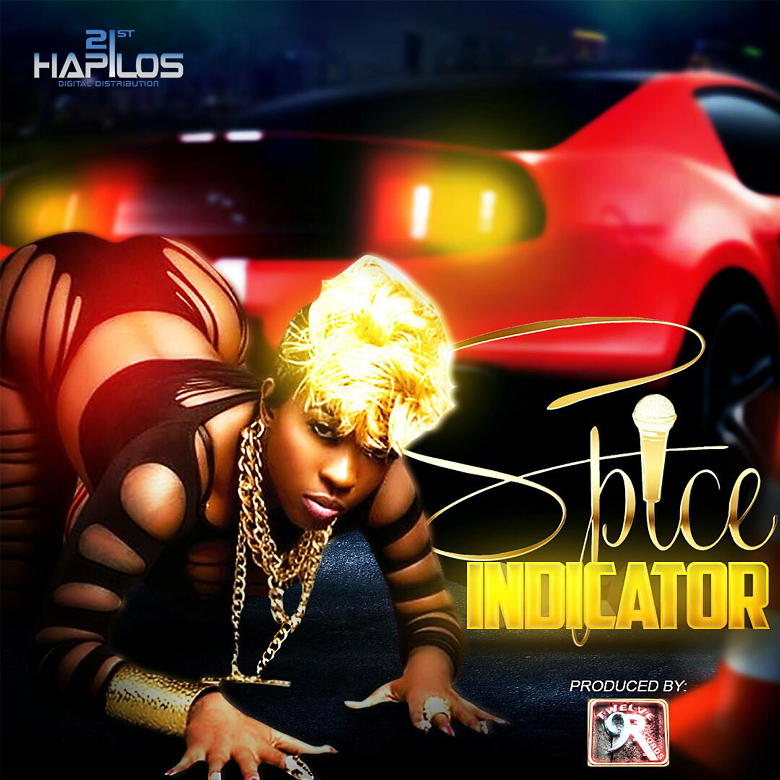 Релиз Indicator