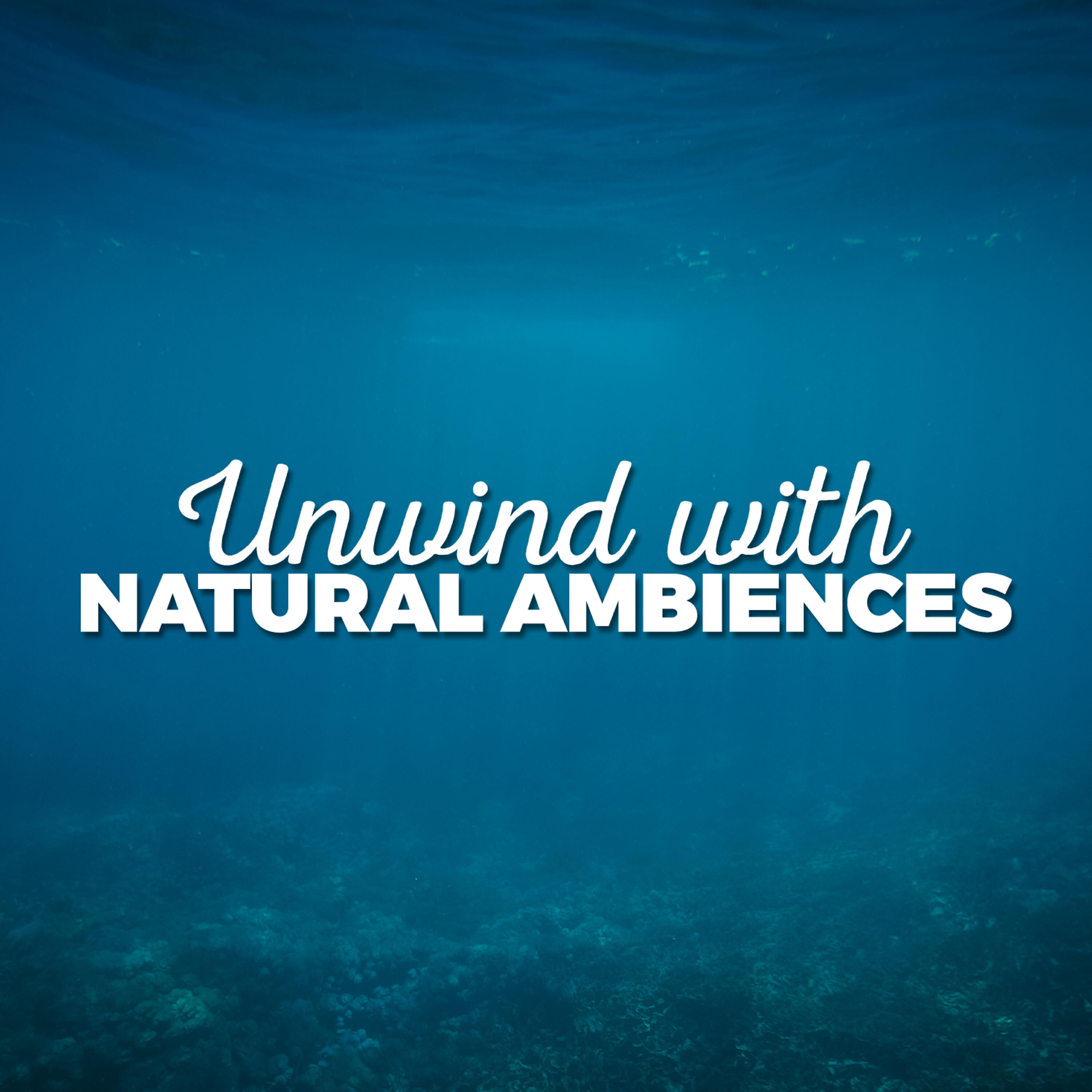 Релиз Unwind with Natural Ambiences