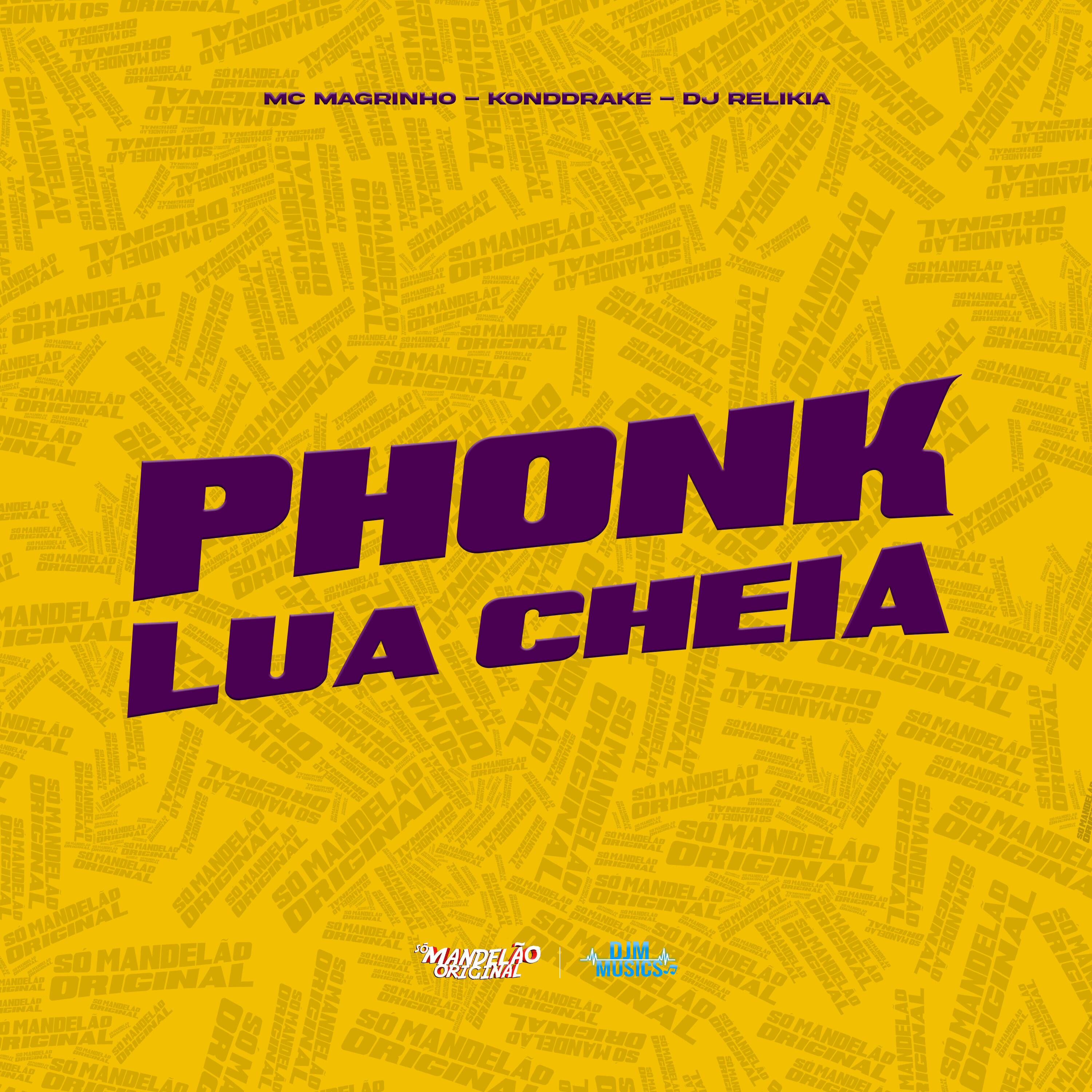 Постер альбома Phonk Lua Cheia