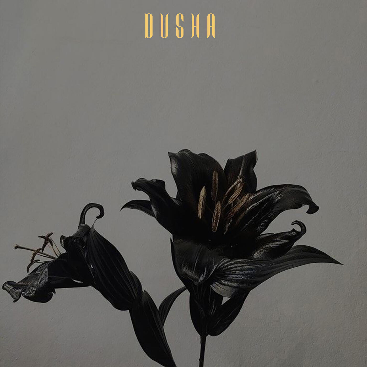 Постер альбома Dusha