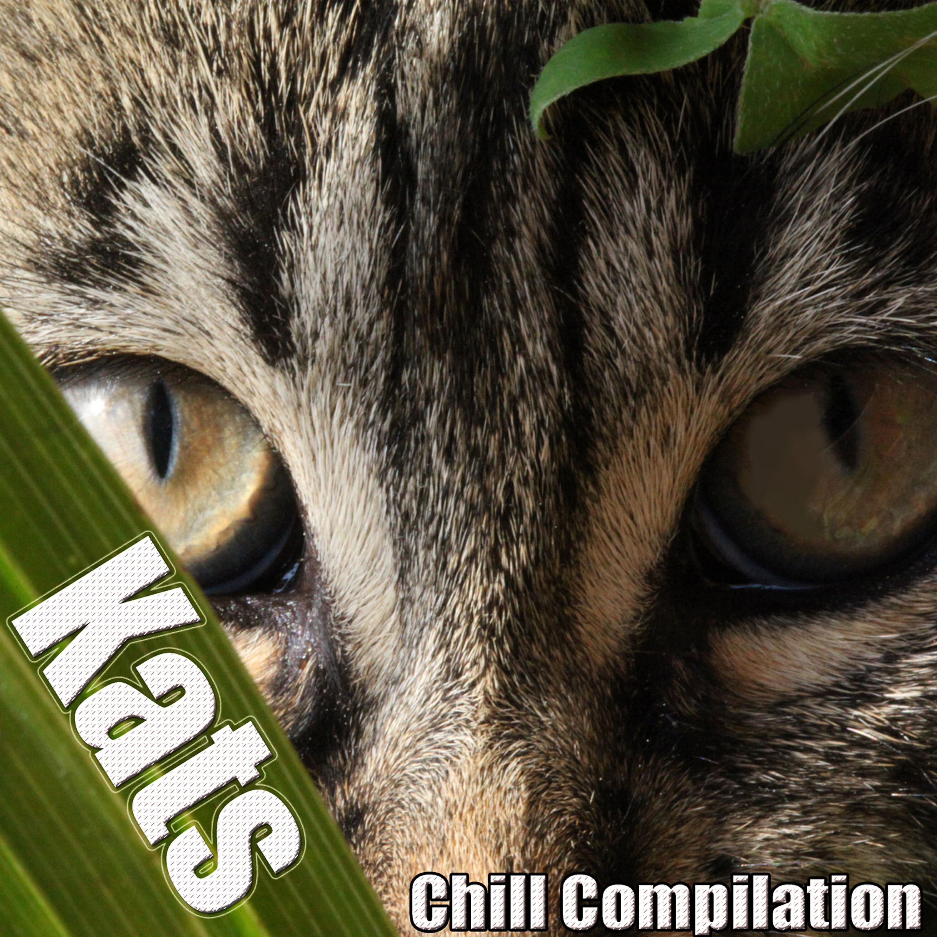 Постер альбома Kats (Chill Compilation)