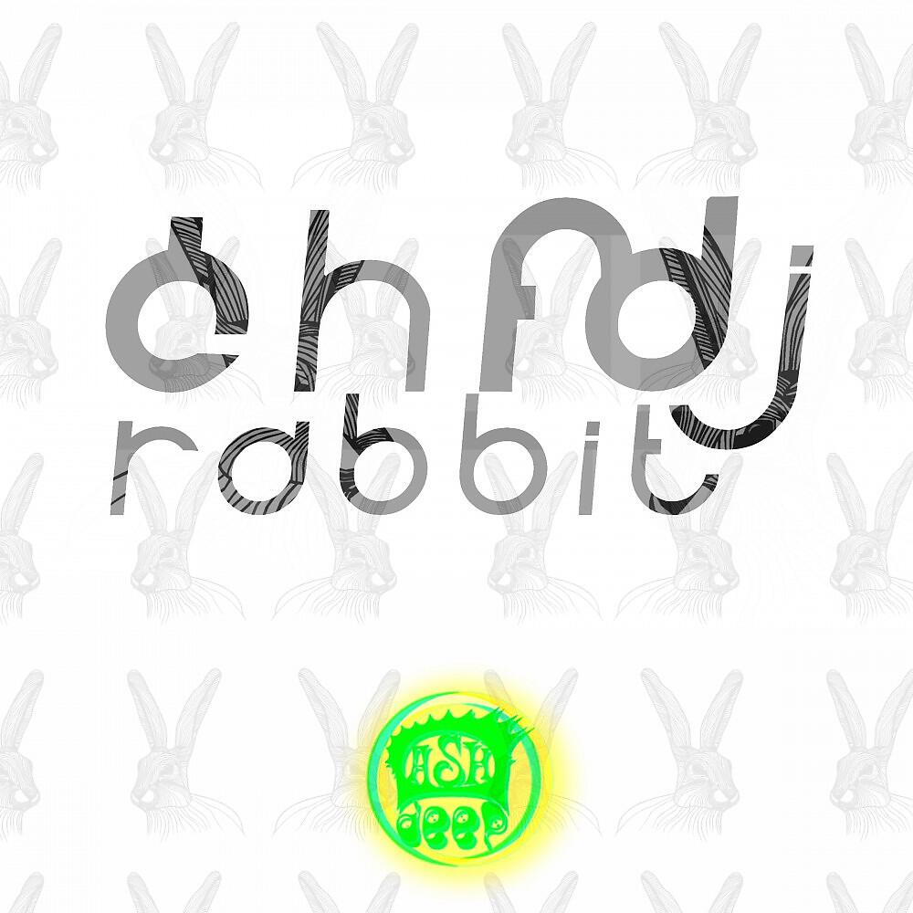 Релиз Rabbit