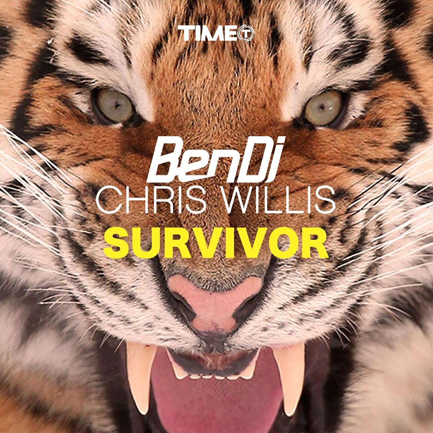 Скачать песню Ben DJ, Chris Willis - Survivor (Radio) бесплатно в MP3 для Android и iOS