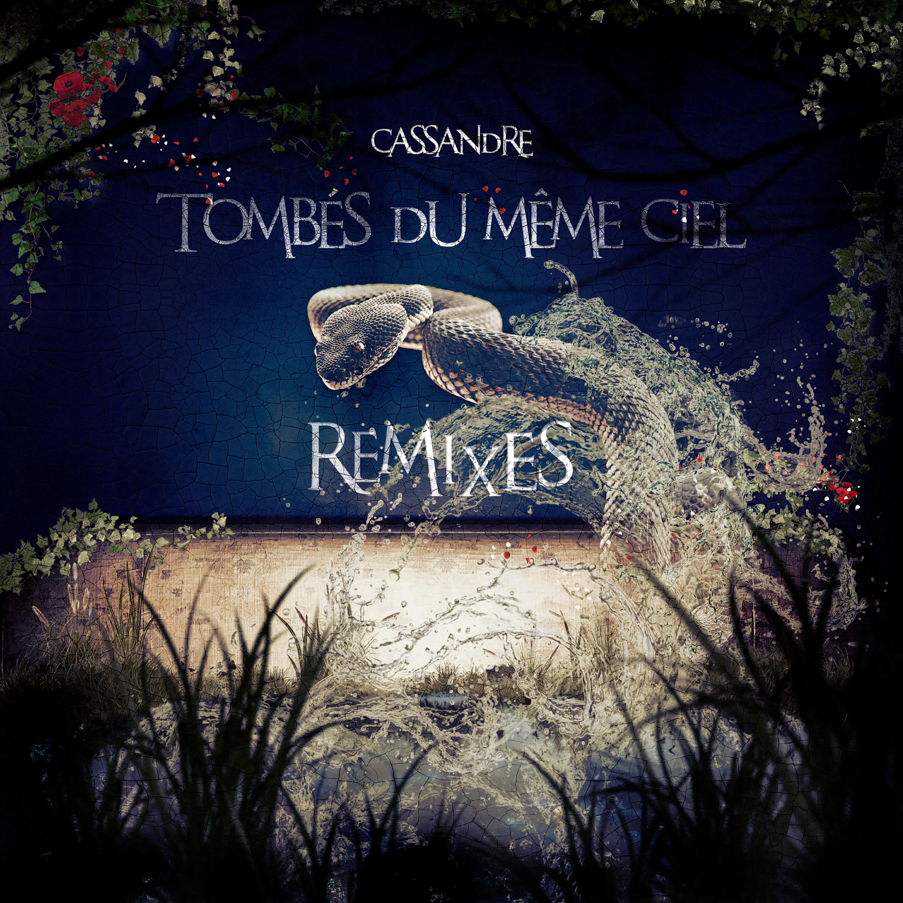 Релиз Tombés du même ciel (Remixes)