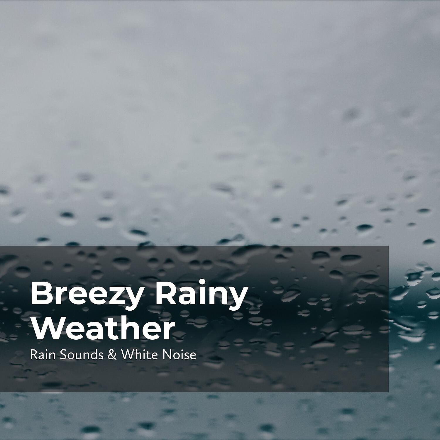 Релиз Breezy Rainy Weather